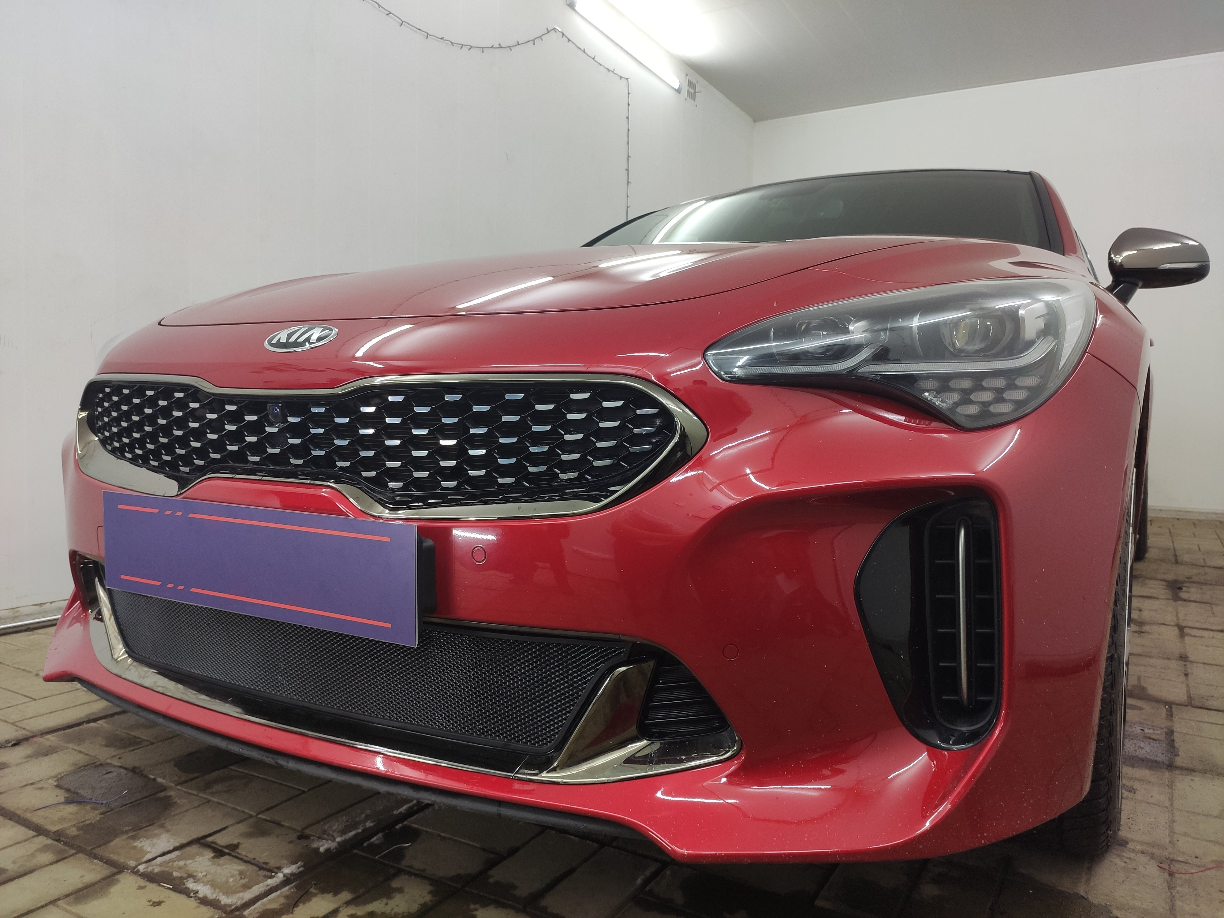 Защитная сетка радиатора низ для Kia Stinger I