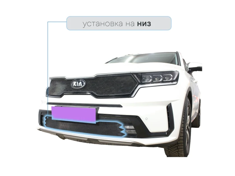 Защитная сетка радиатора низ, с ПТФ для Kia Sorento IV Черный Стрелка 11 KS20.PTF.black