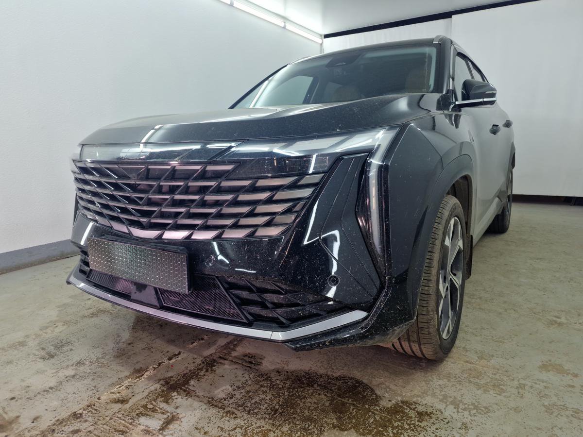 Защитная сетка радиатора низ 2 части для Geely Atlas II