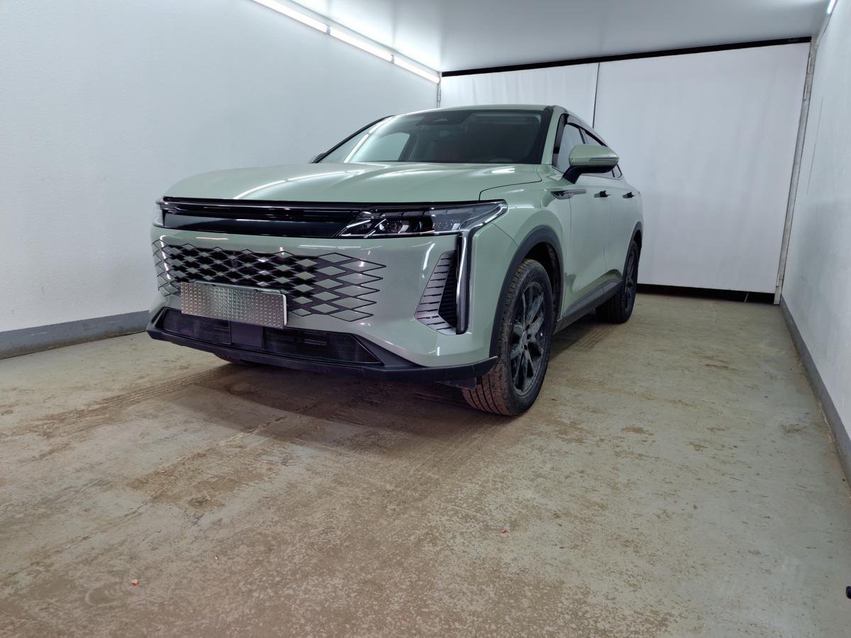 Защитная сетка радиатора низ 2 части для EXEED RX