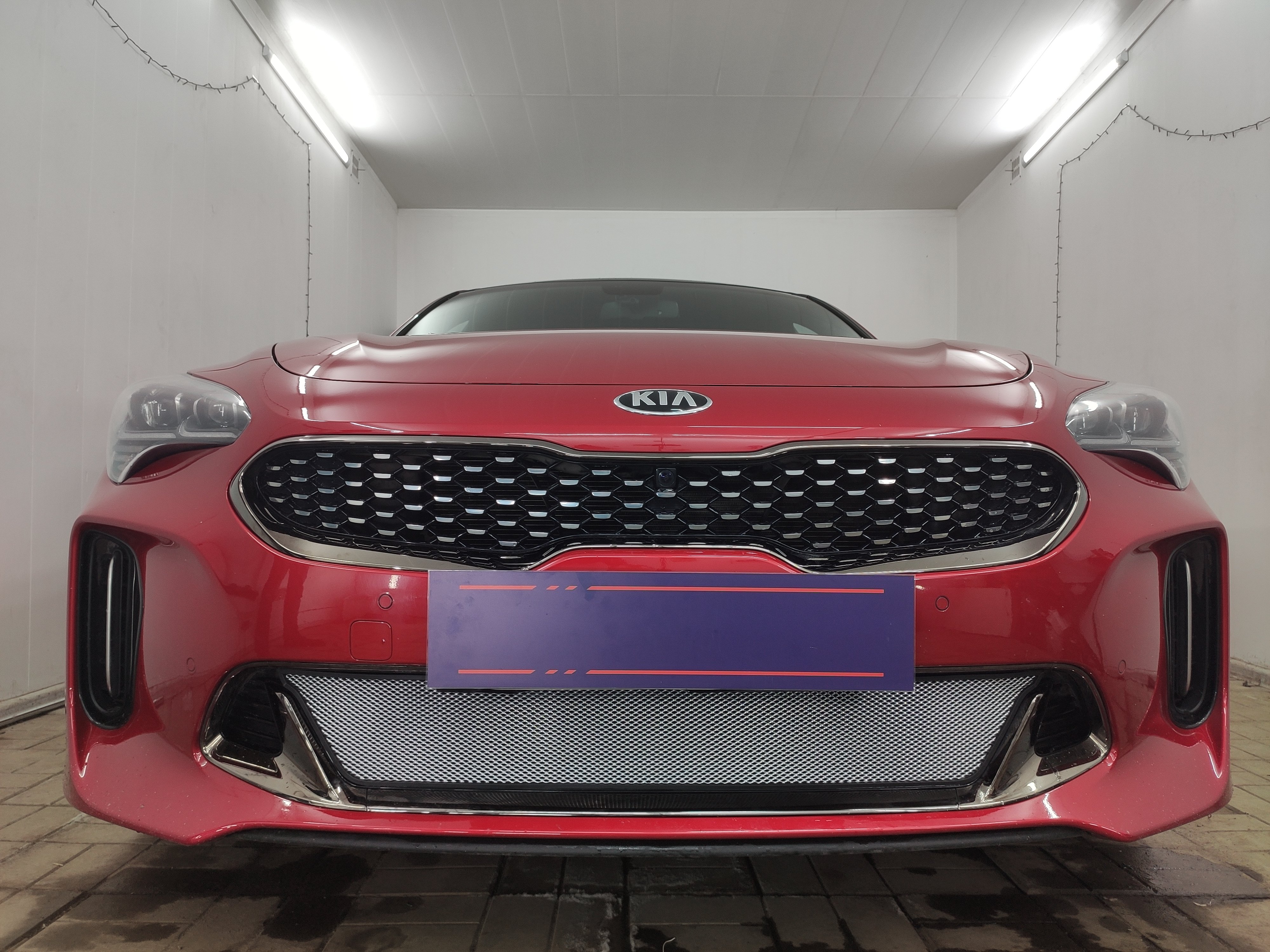 Защитная сетка радиатора низ для Kia Stinger I