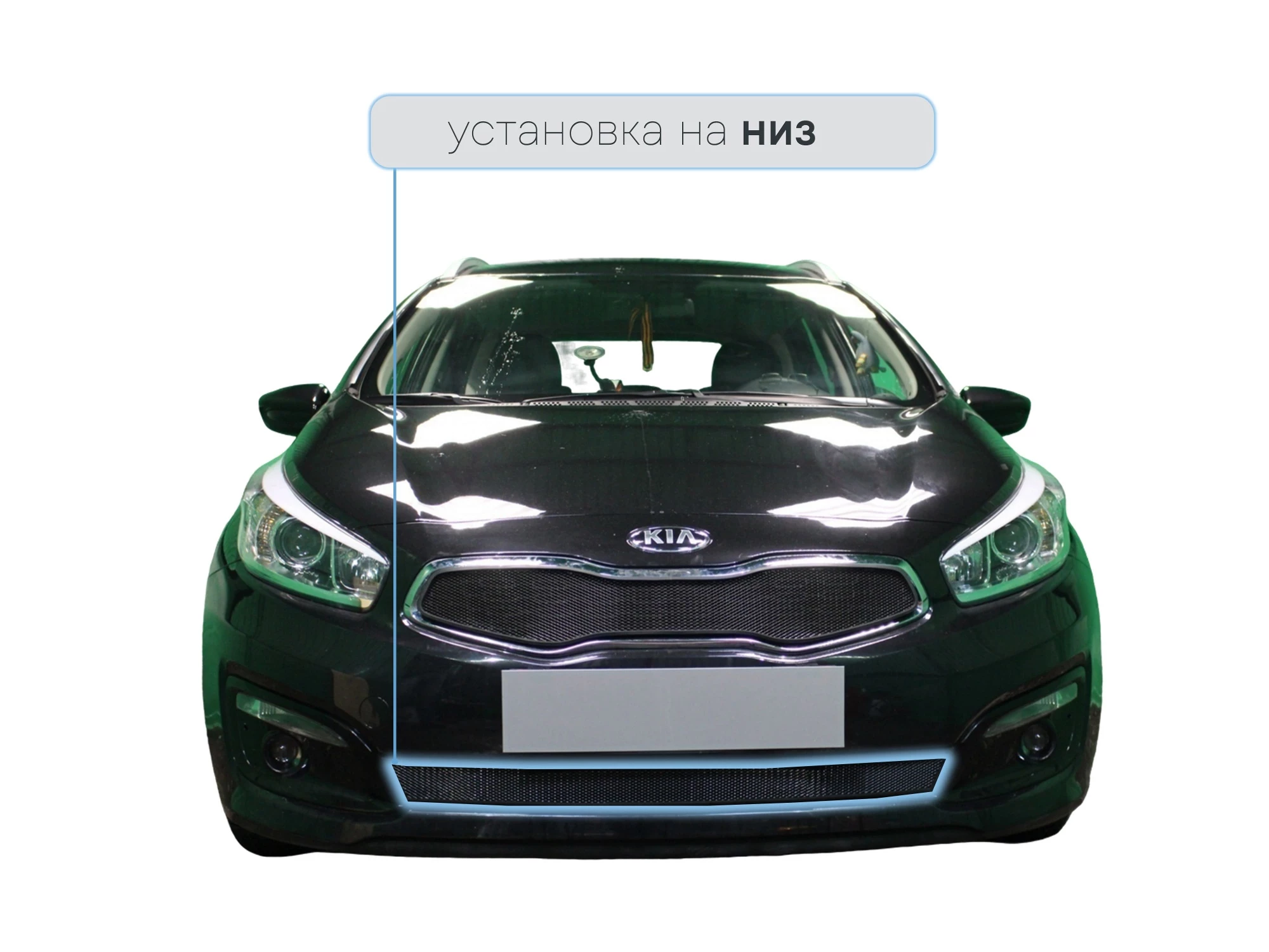 Защитная сетка радиатора низ для Kia Ceed II Рестайлинг