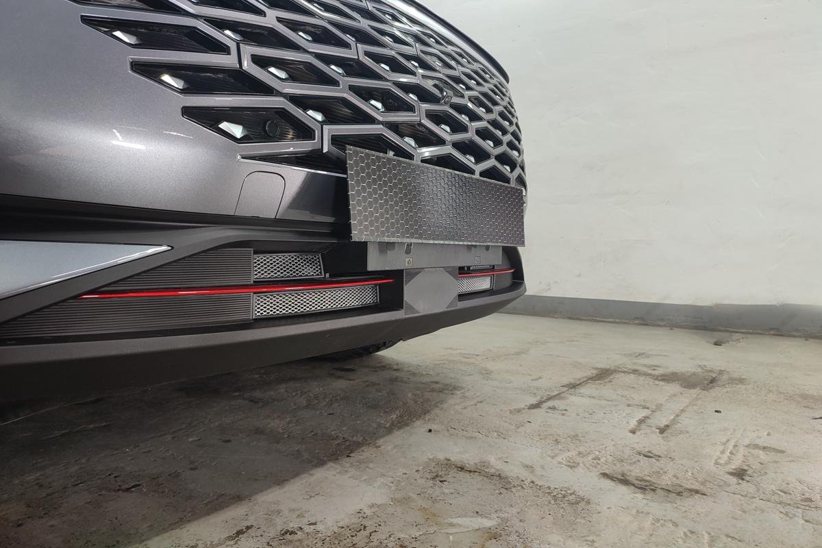 Защитная сетка радиатора комплект для Omoda C5 I