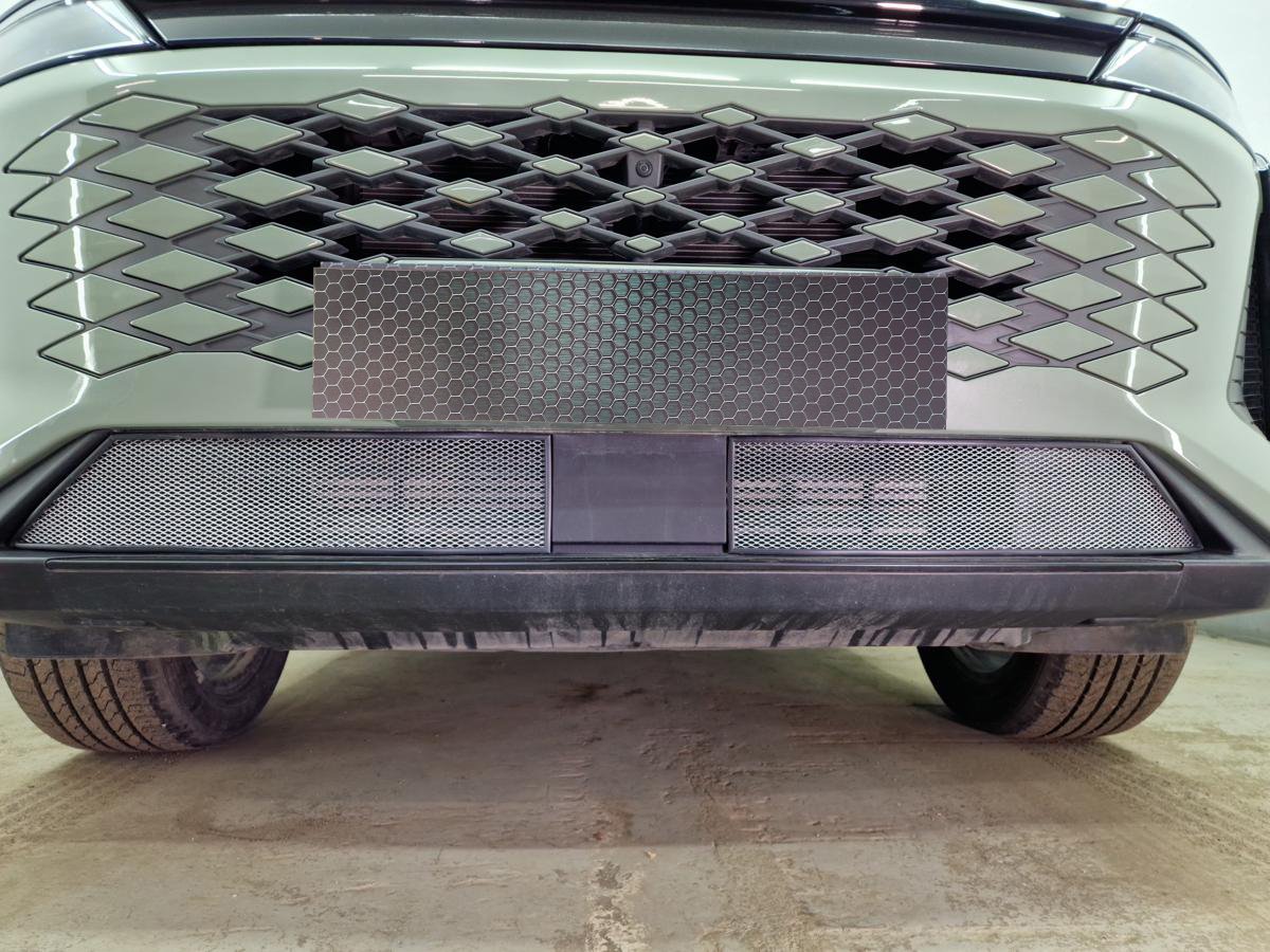 Защитная сетка радиатора низ 2 части для EXEED RX