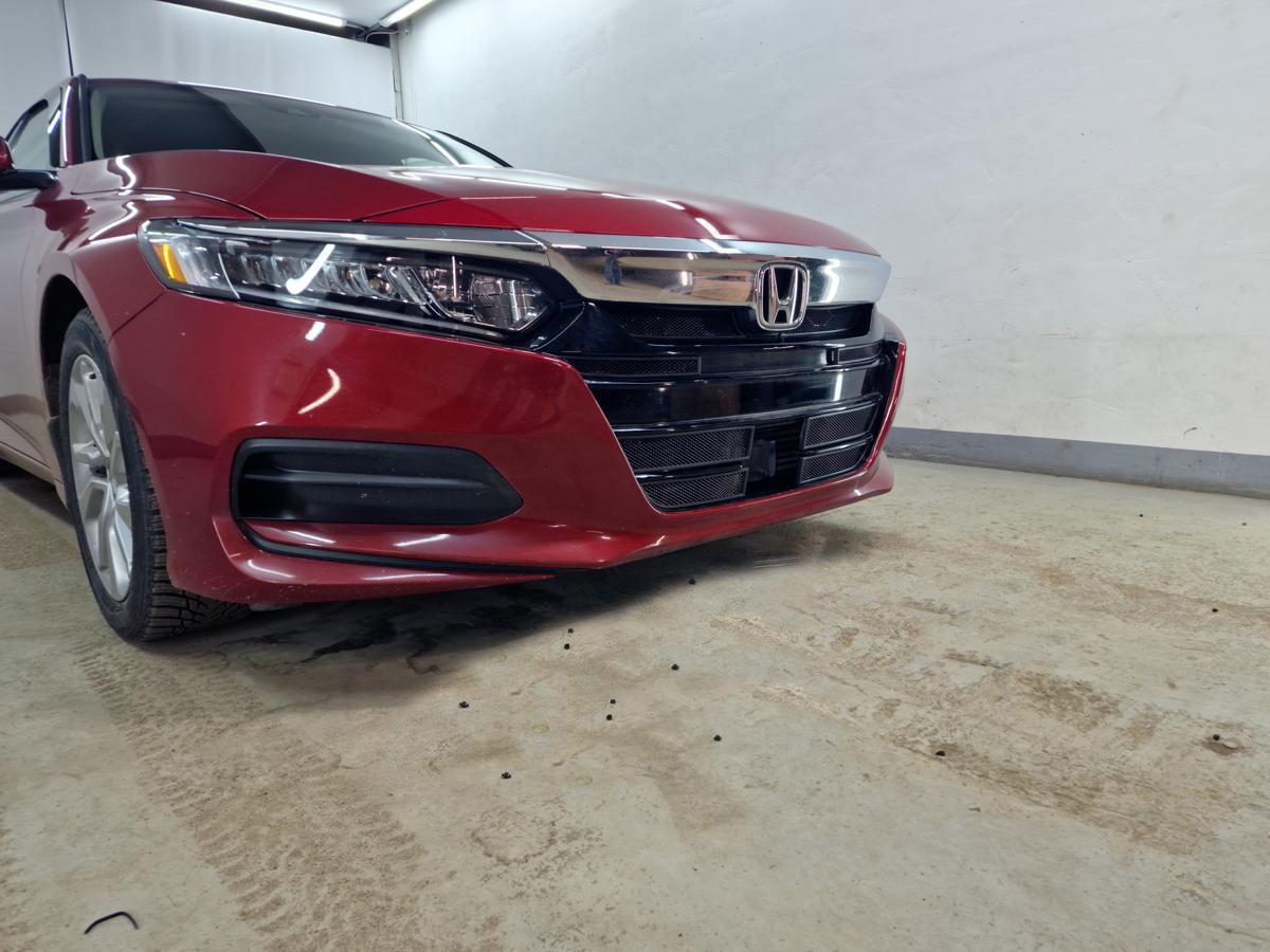 Защитная сетка радиатора низ 4 части для Honda Accord X