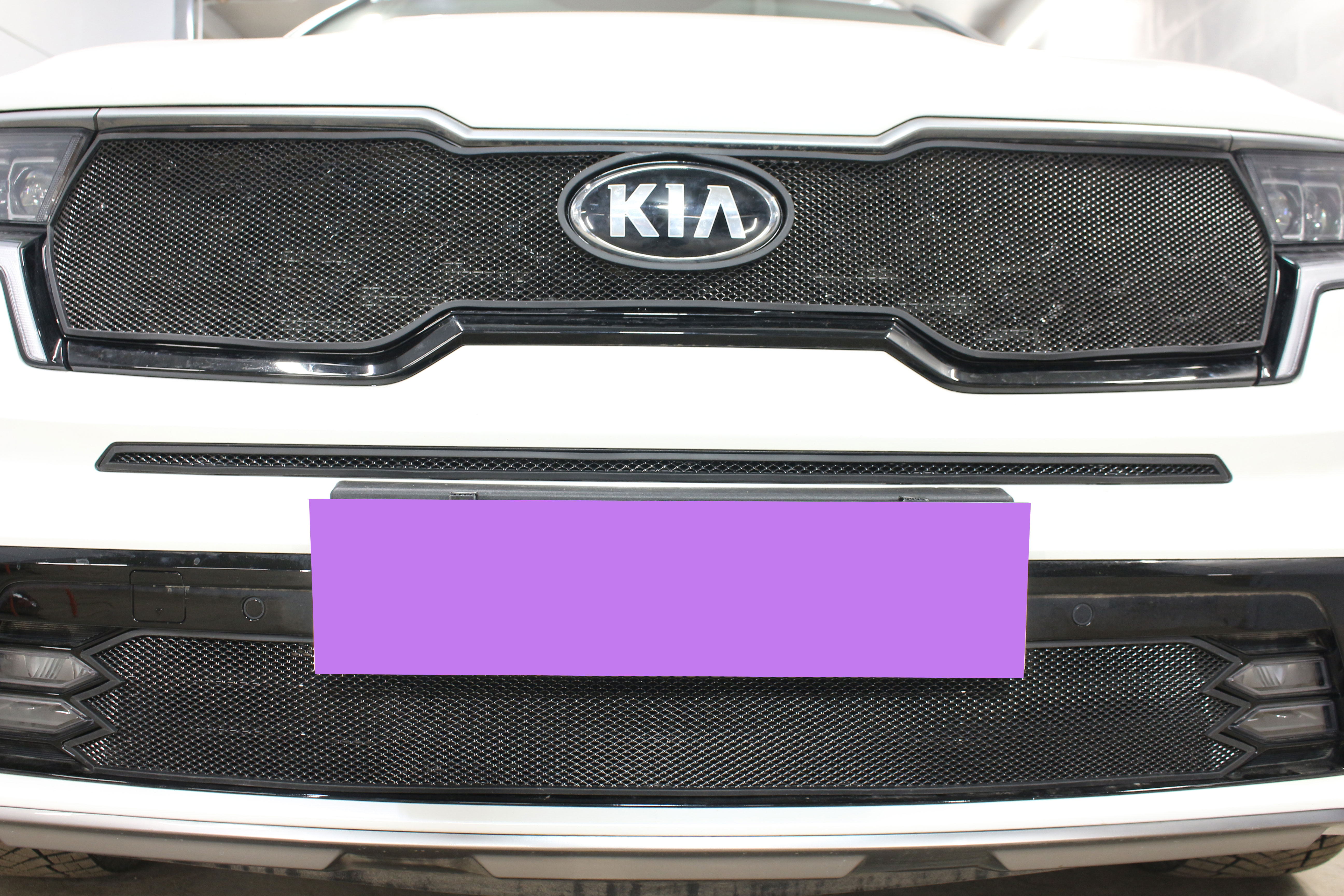Защитная сетка радиатора верх для Kia Sorento IV