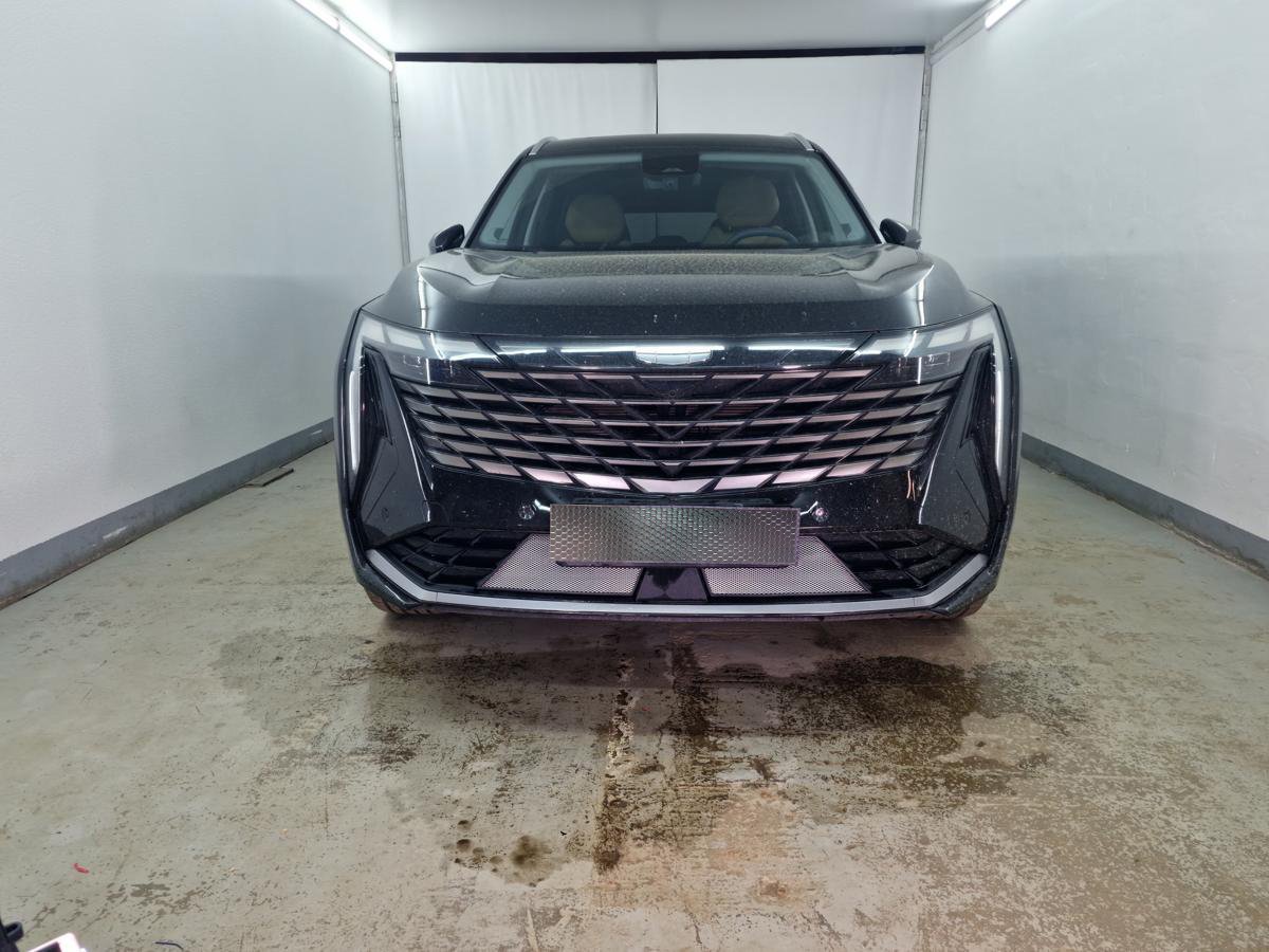 Защитная сетка радиатора низ 2 части для Geely Atlas II