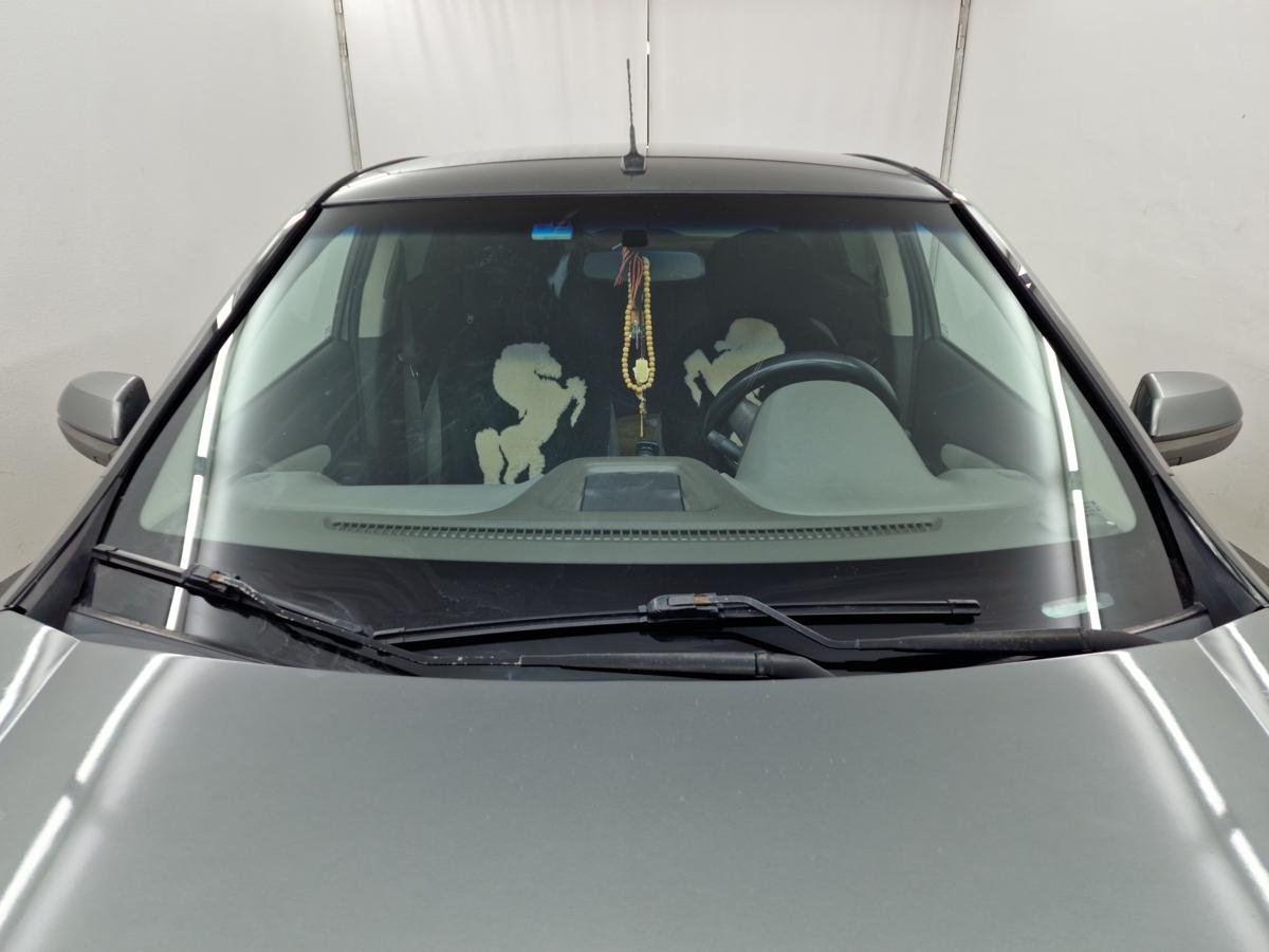 Водосток лобового стекла Премиум для Ravon R4