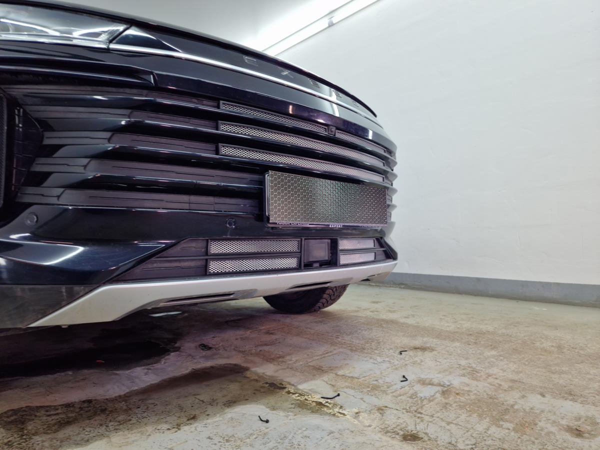 Защитная сетка радиатора верх 4 части для EXEED TXL I