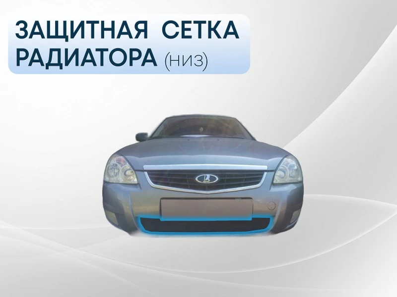Защитная сетка радиатора для LADA (ВАЗ) Priora I Черный Стрелка 11 LPR.black