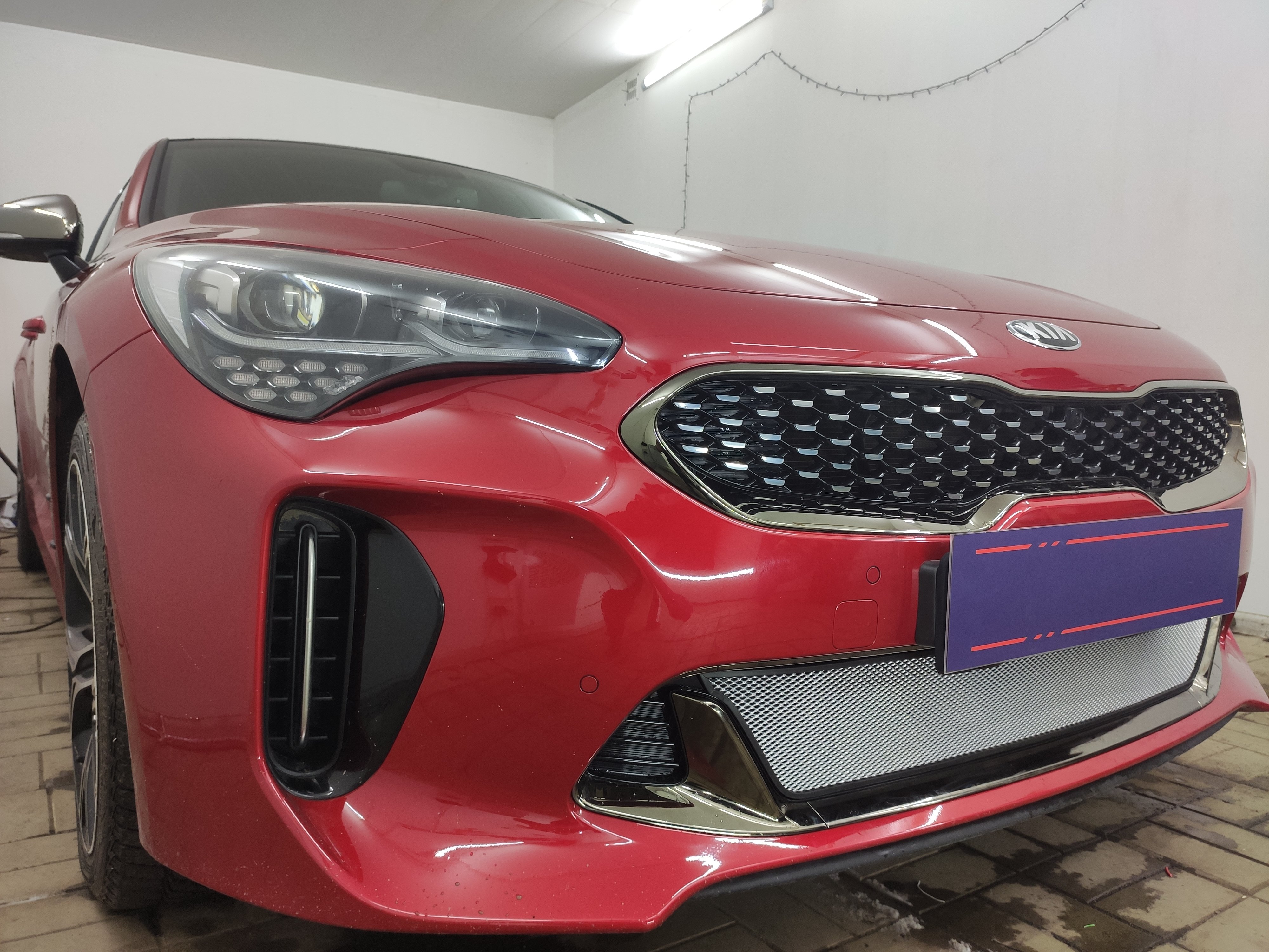 Защитная сетка радиатора низ для Kia Stinger I