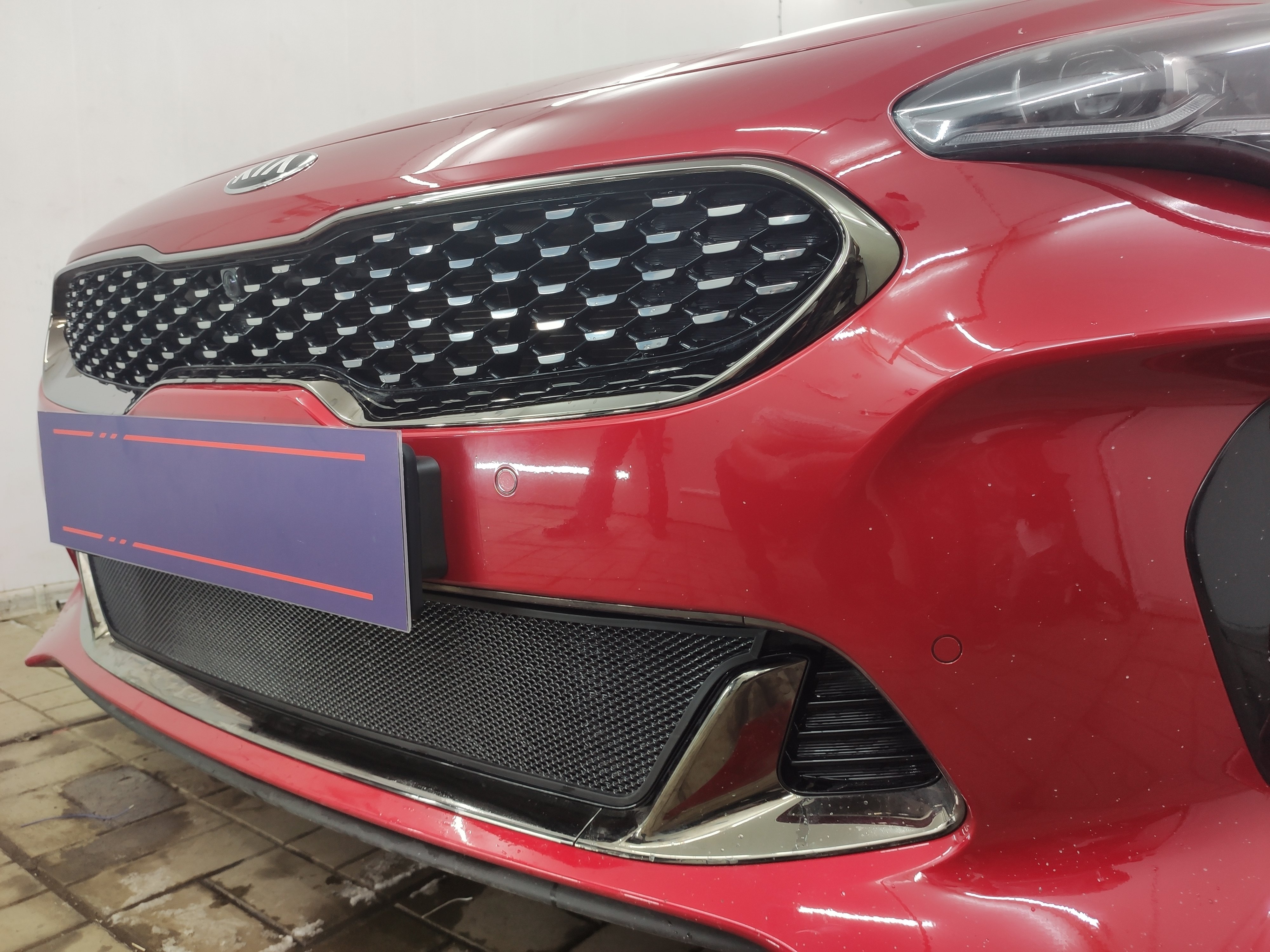 Защитная сетка радиатора низ для Kia Stinger I