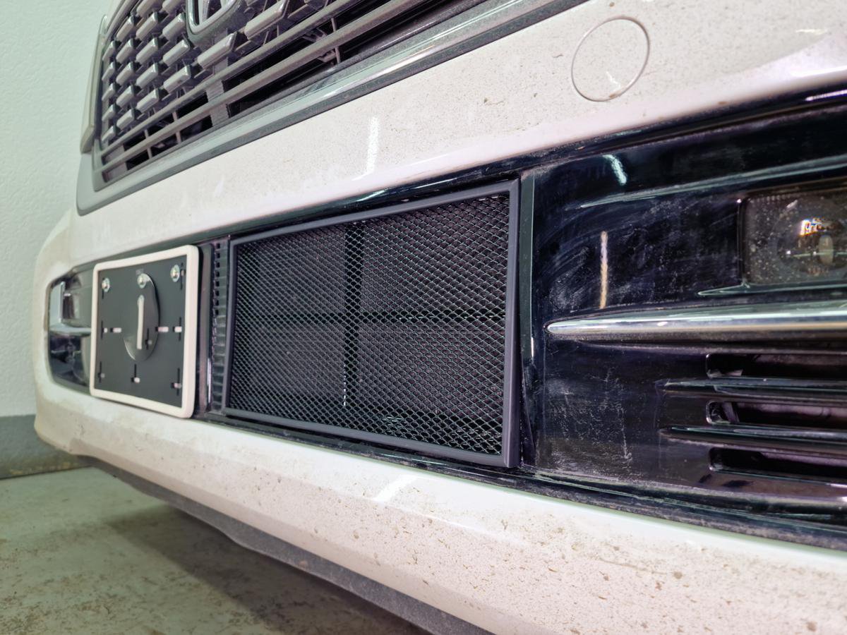 Защитная сетка радиатора низ для Honda N-WGN II Рестайлинг