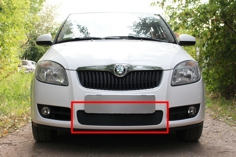 Защитная сетка радиатора для Skoda Fabia II Черный Стрелка 11 SKFB07.black