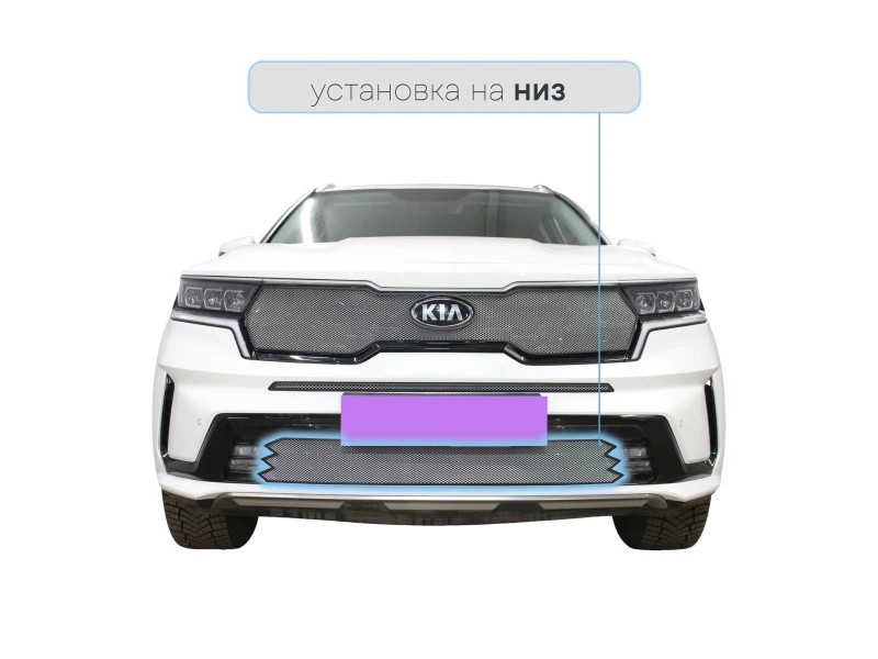 Защитная сетка радиатора низ, с ПТФ для Kia Sorento IV Хром Стрелка 11 KS20.PTF.chrome
