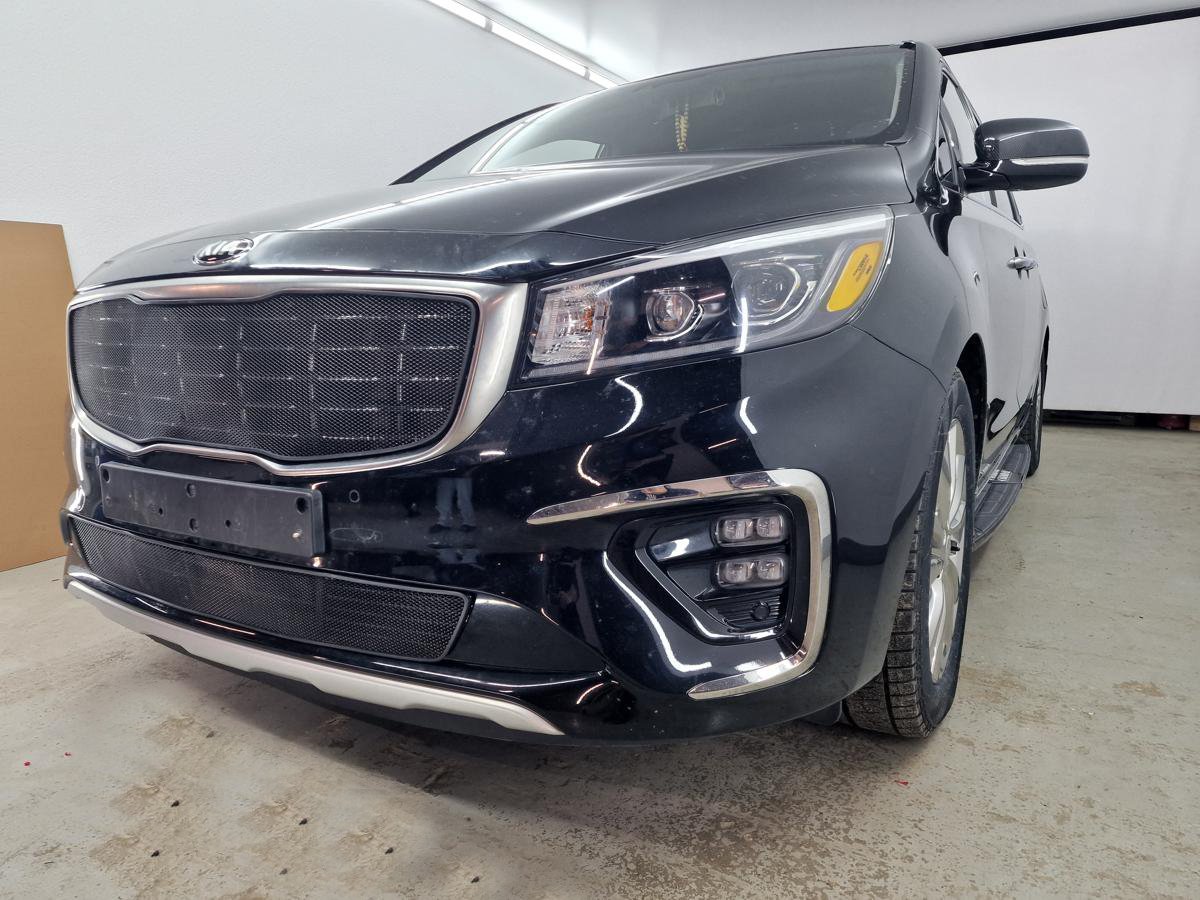 Защитная сетка радиатора низ для Kia Carnival (YP) III Рестайлинг