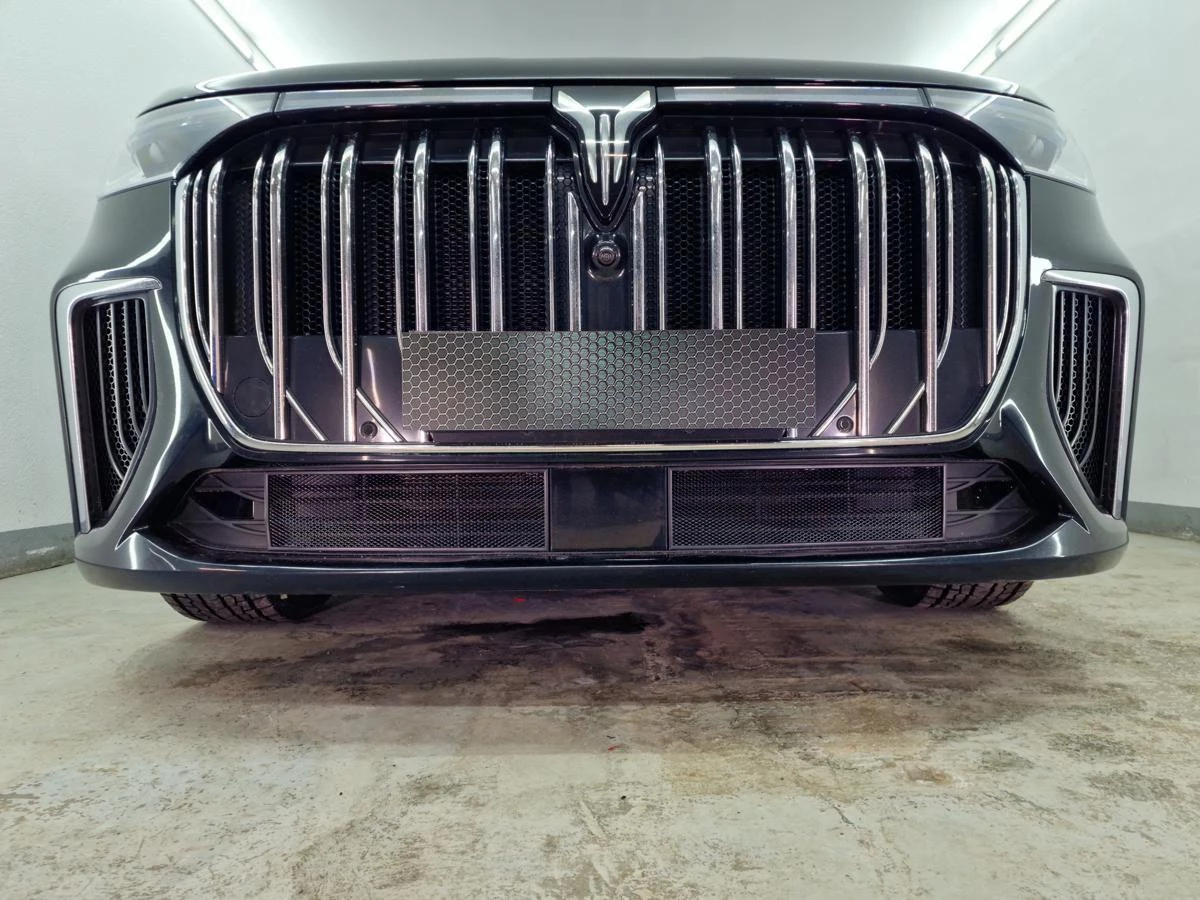 Защитная сетка радиатора низ 2 части для Voyah Dream I