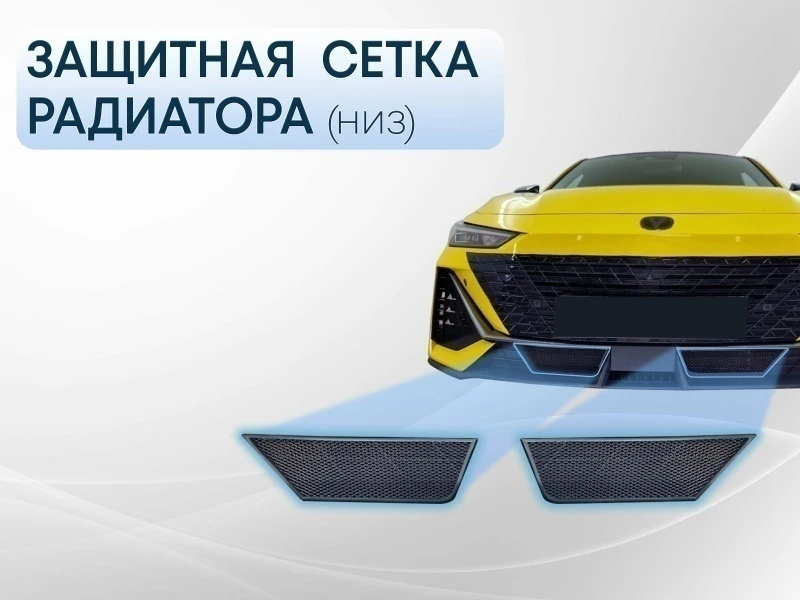 Защитная сетка радиатора низ 2 части для Changan UNI-V Черный Стрелка 11 CHUNIV22.bot.black