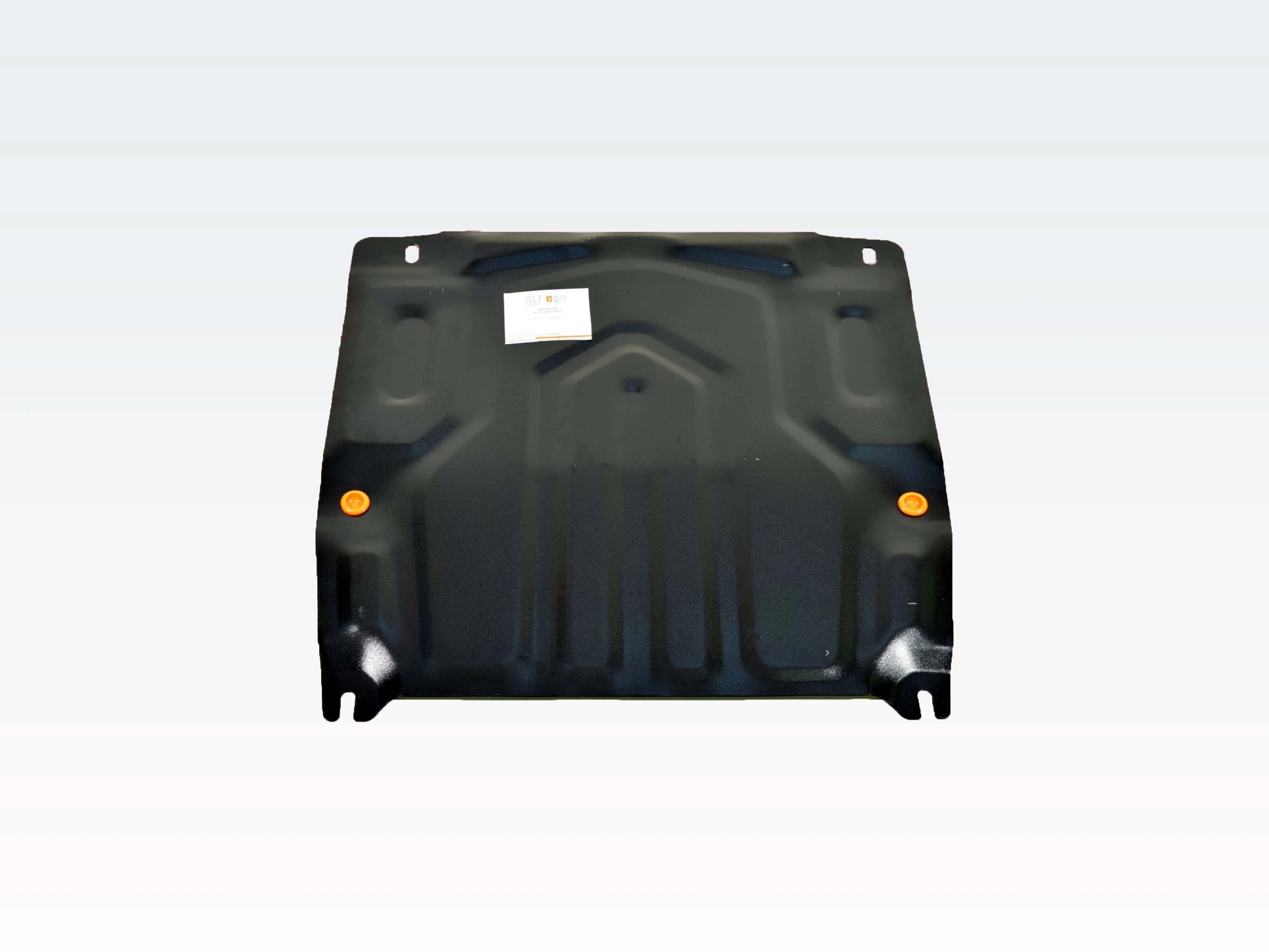 Защита картера и КПП (малая) для Chevrolet Aveo I Рестайлинг