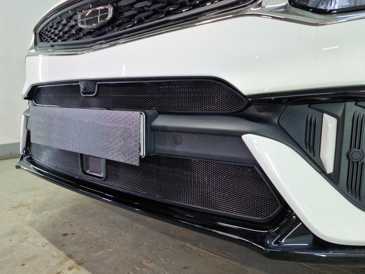 Защитная сетка радиатора низ, с датчиками для Geely Tugella I Рест