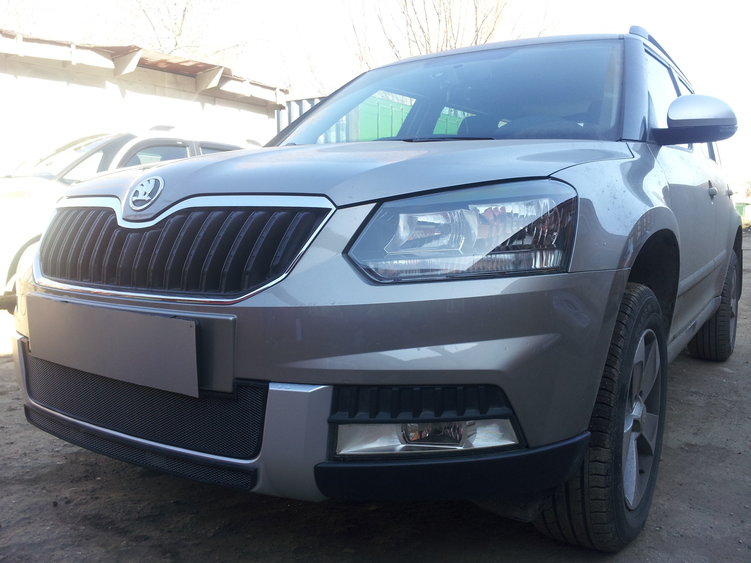 Защитная сетка радиатора центр для Skoda Yeti I Рестайлинг