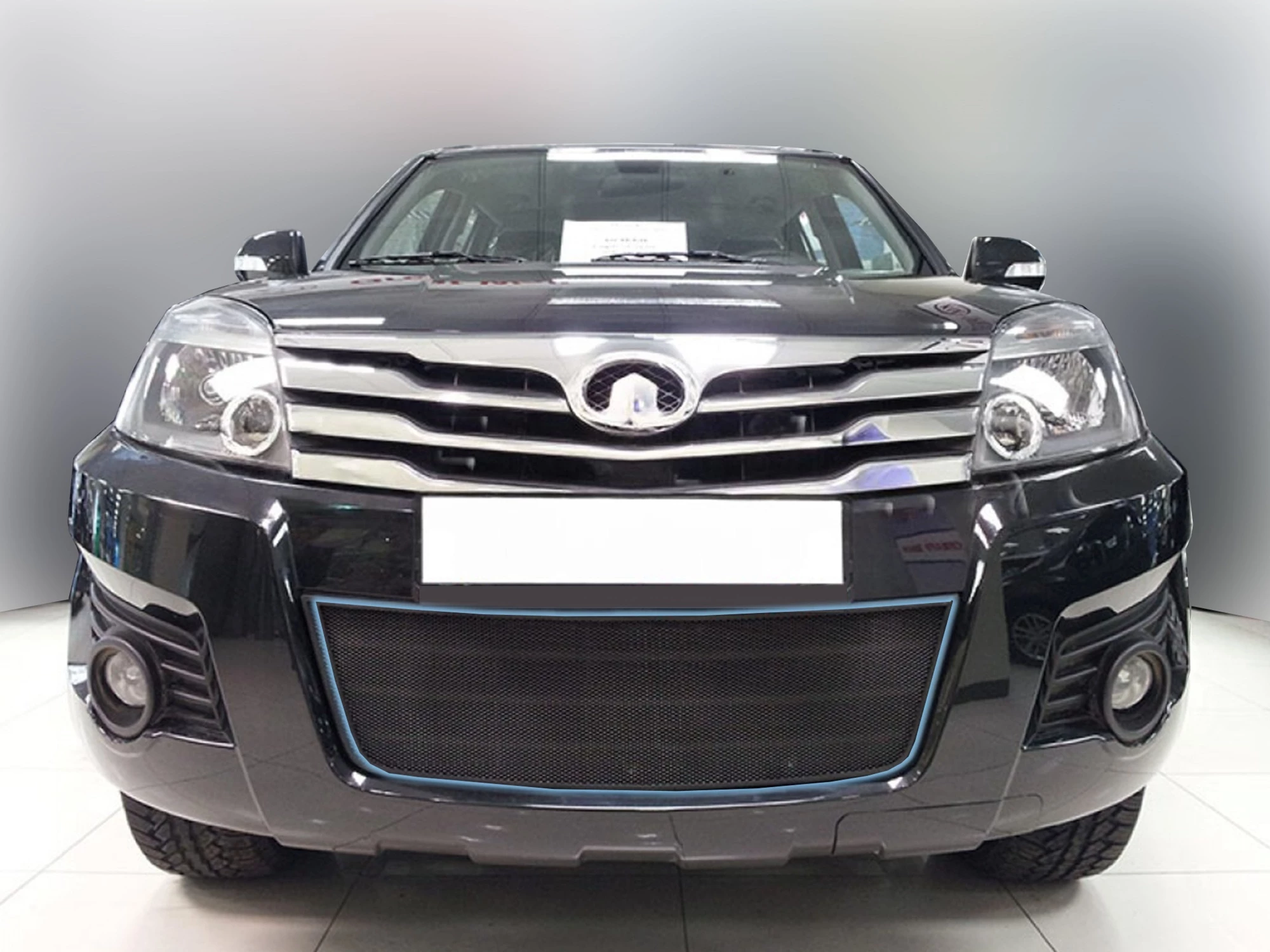 Защитная сетка радиатора низ для Great Wall Hover H3 I