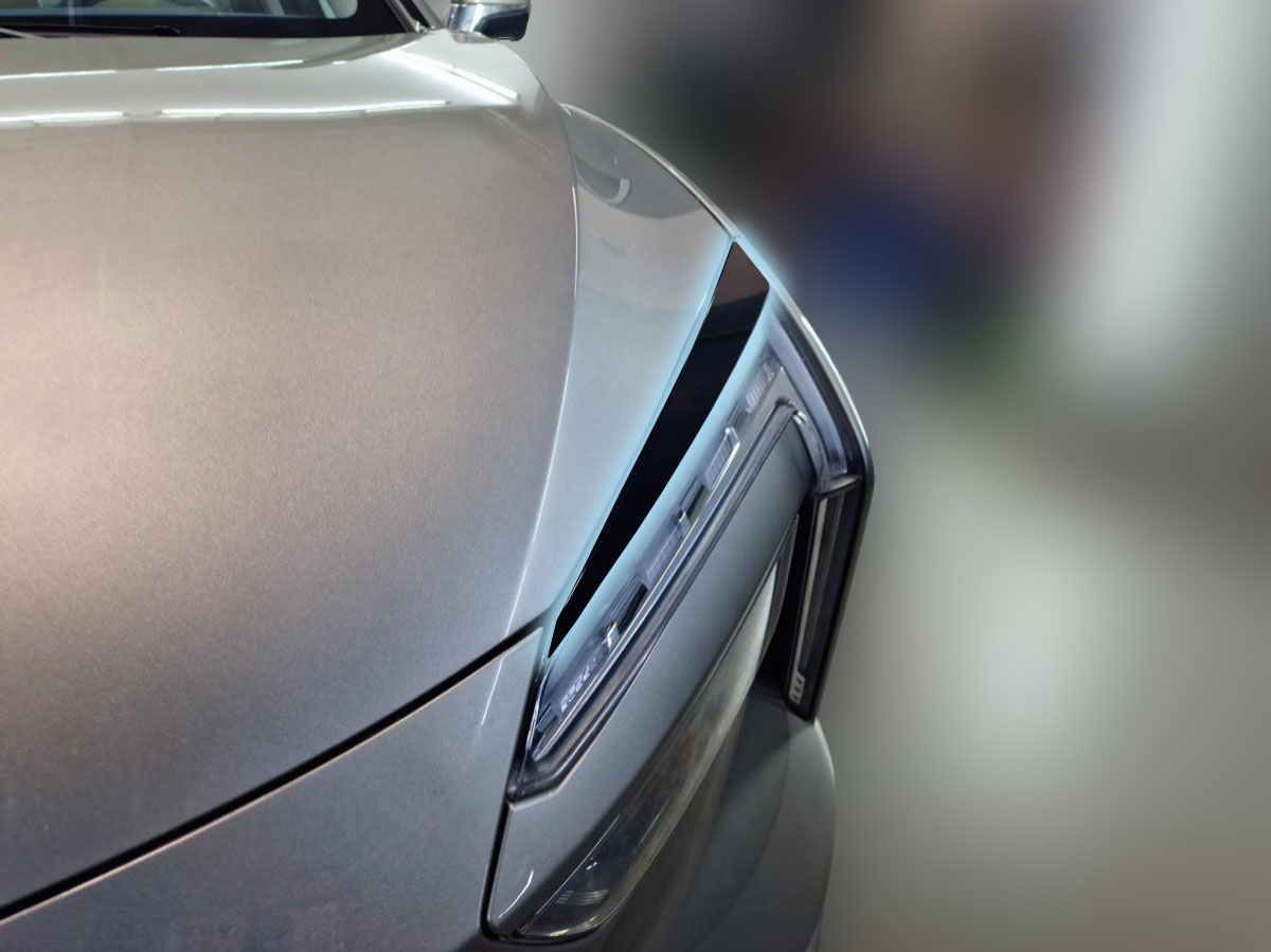 Набор декоров (наклейка на логотип, накладки на фары, наклейки на ручки, накладка на задний бампер) для Амберавто А5 I