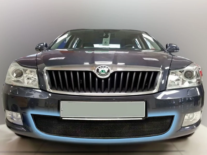 Защитная сетка радиатора для Skoda Octavia II (A5) Рестайлинг Черный Стрелка 11 SKA5.black