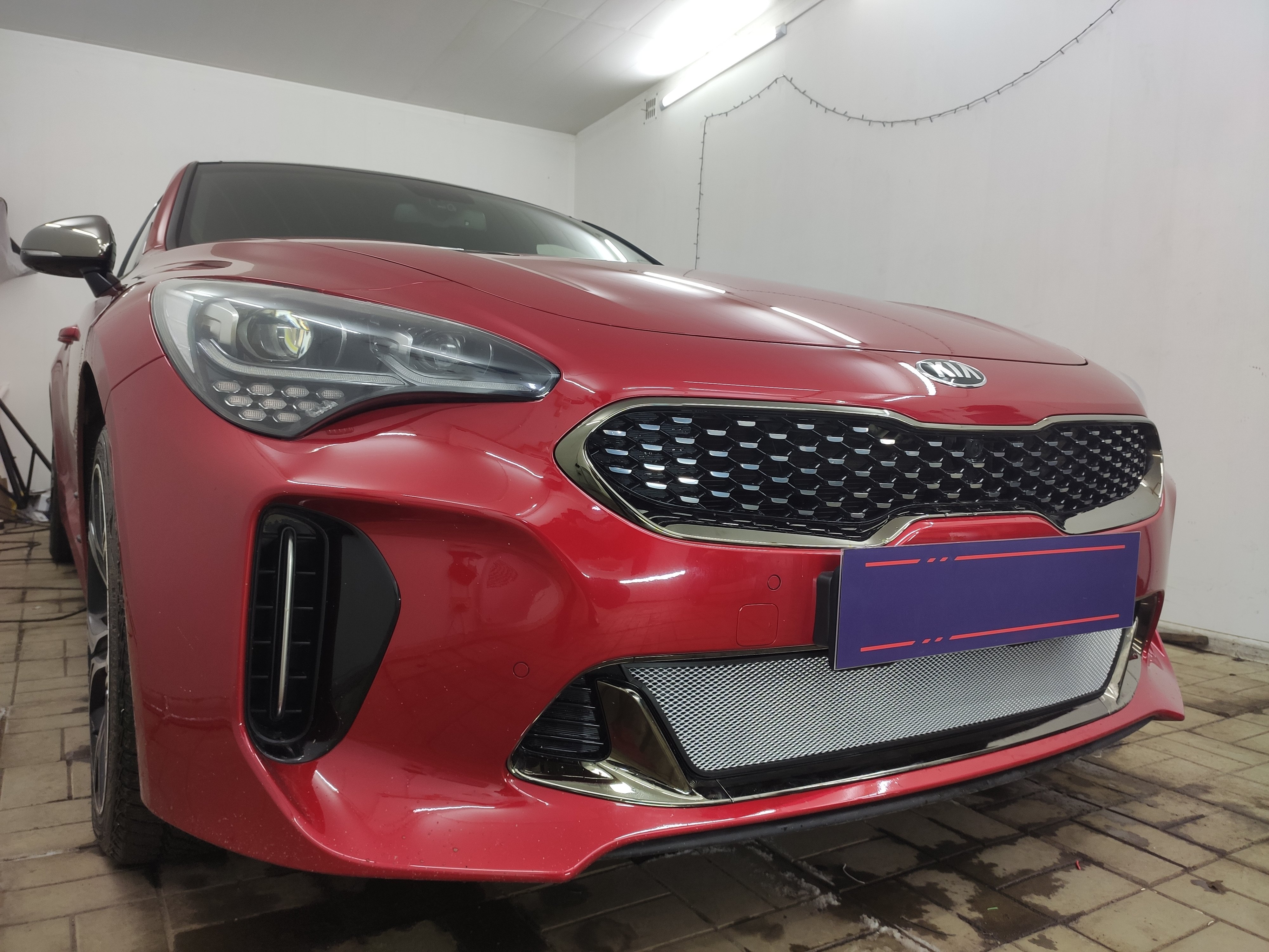 Защитная сетка радиатора низ для Kia Stinger I