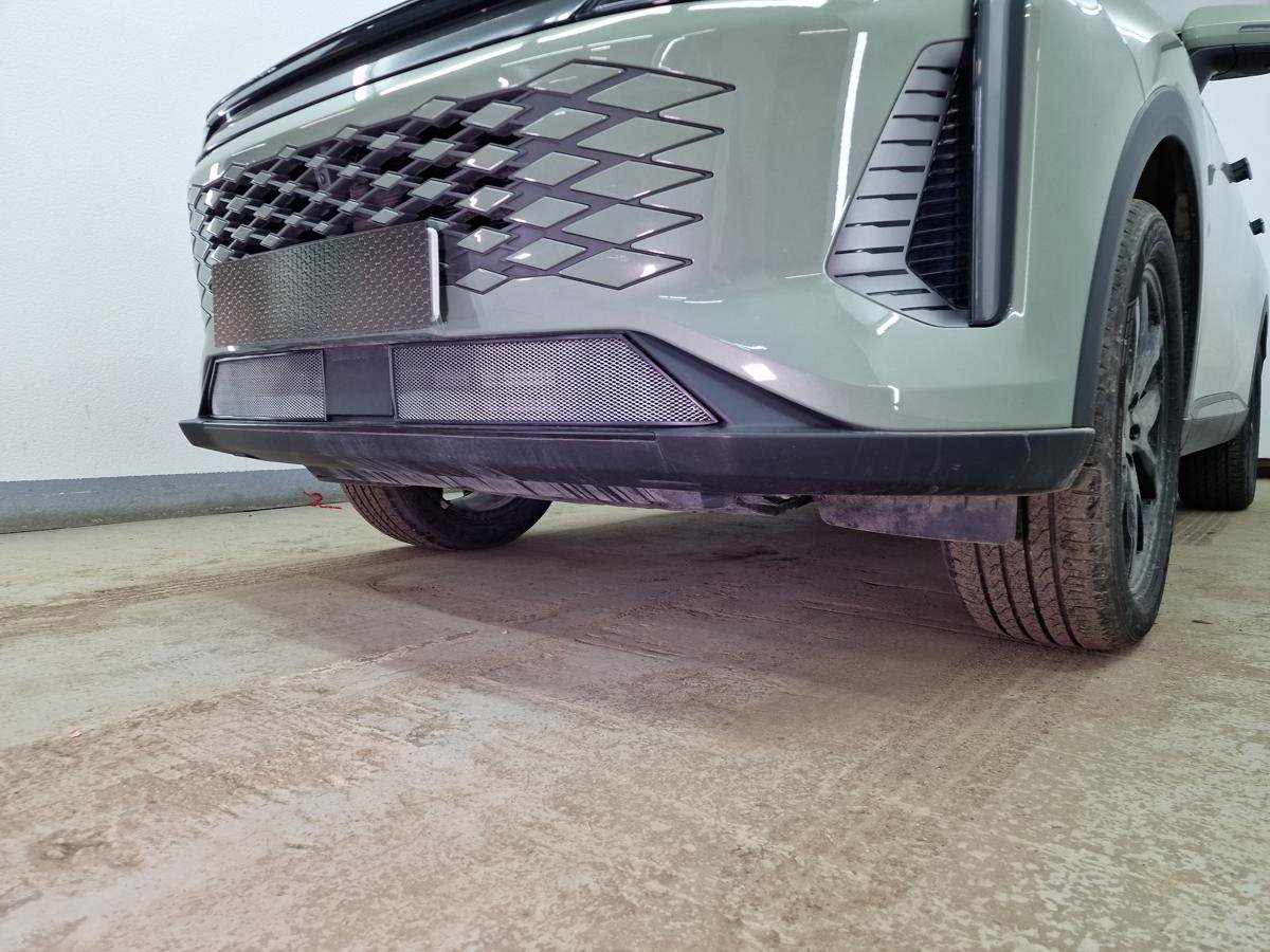 Защитная сетка радиатора низ 2 части для EXEED RX