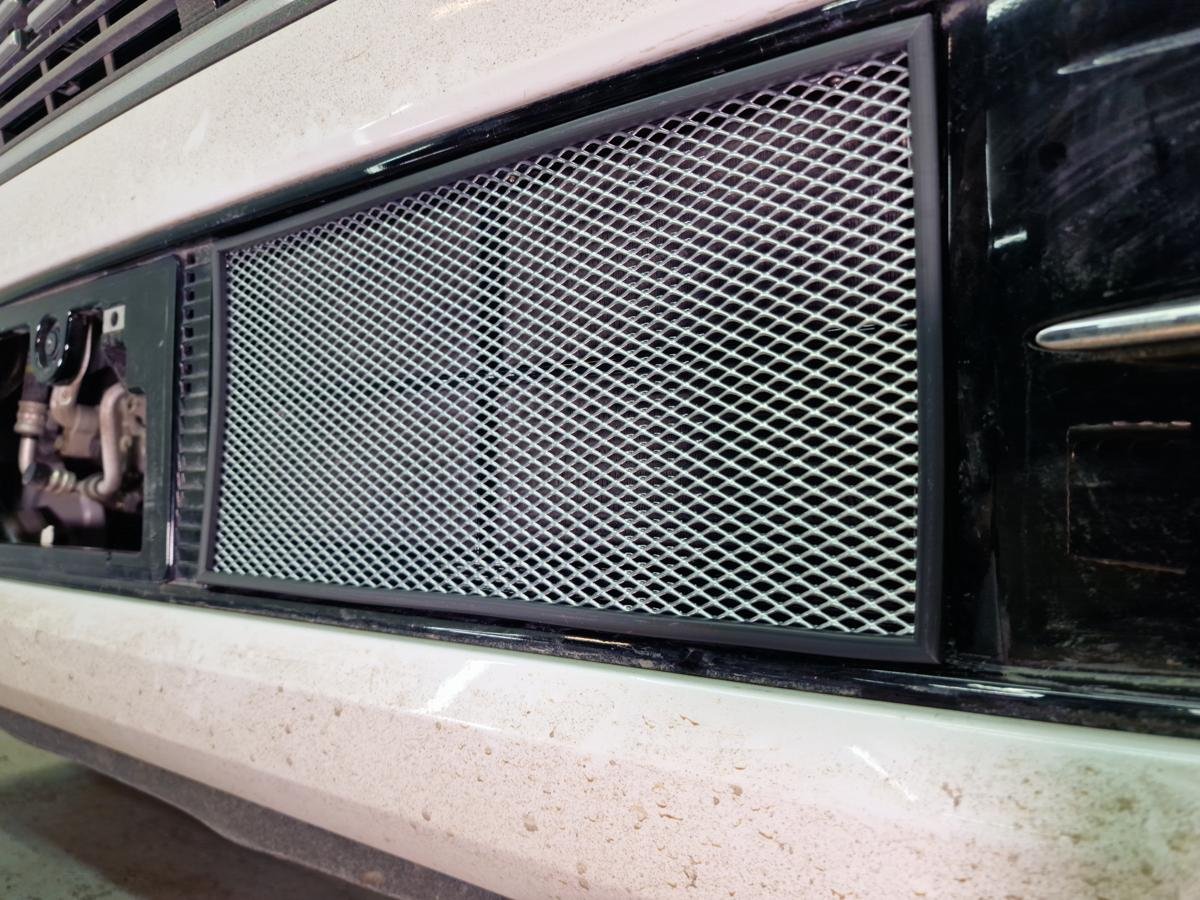 Защитная сетка радиатора низ для Honda N-WGN II Рестайлинг