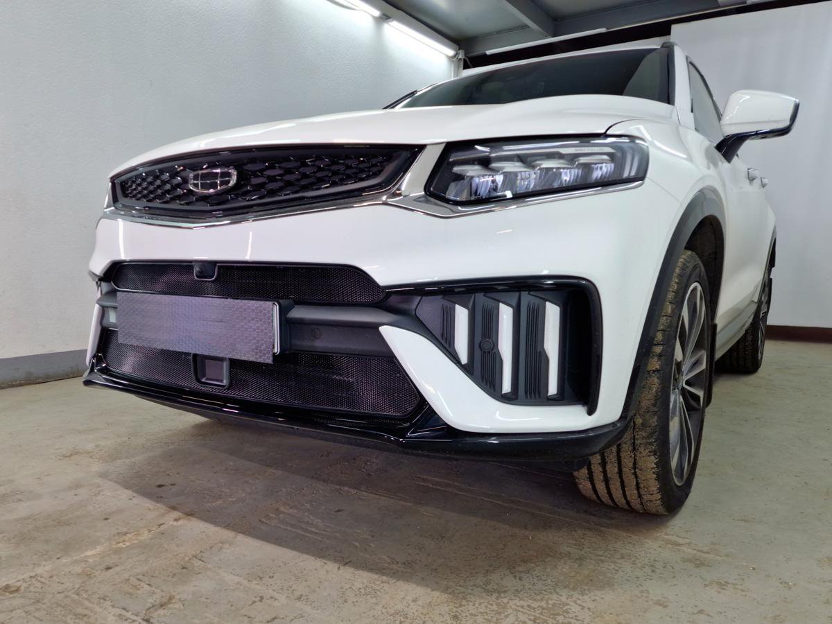 Защитная сетка радиатора низ, с датчиками для Geely Tugella I Рест
