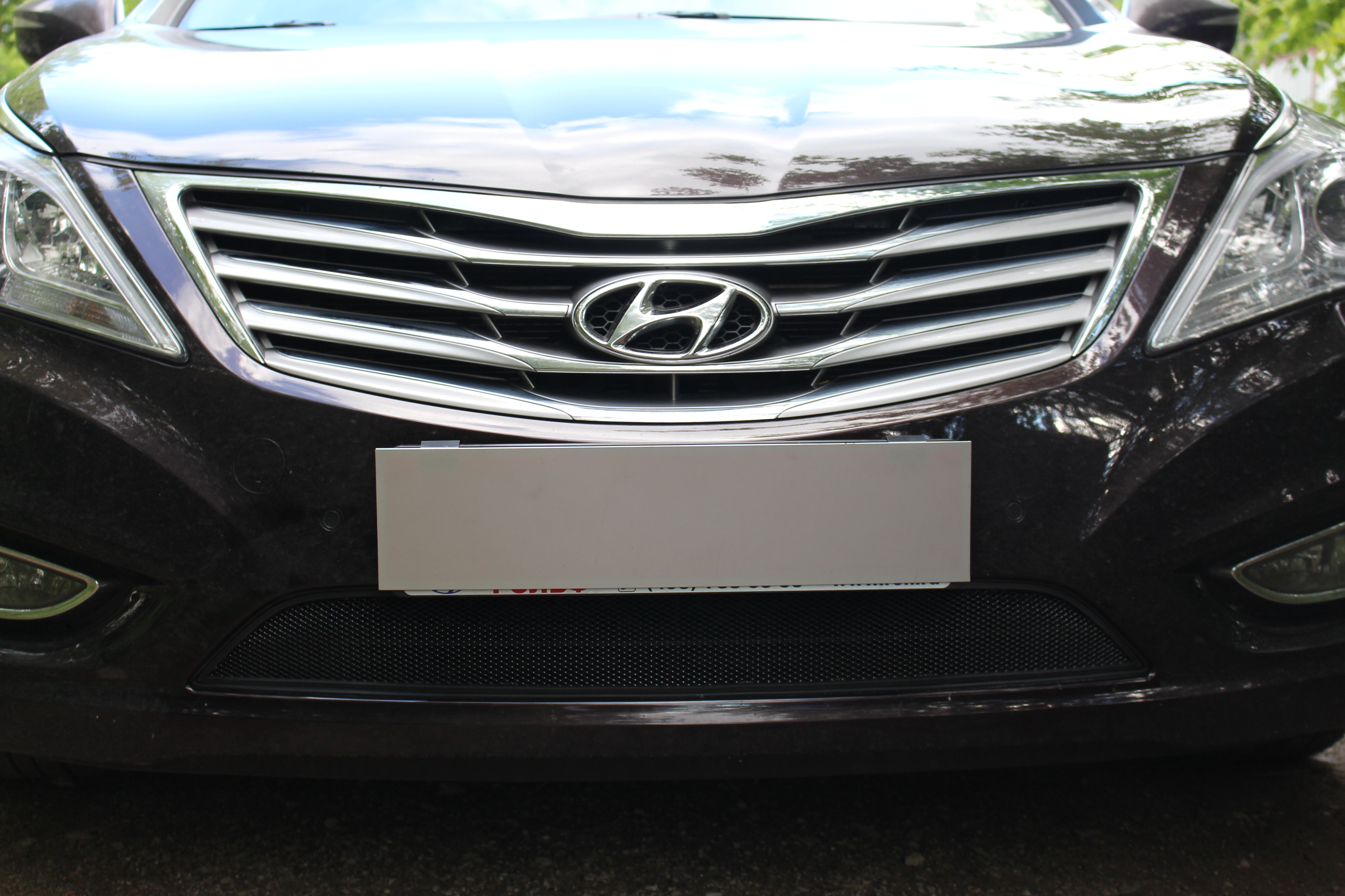 Защитная сетка радиатора для Hyundai Grandeur V