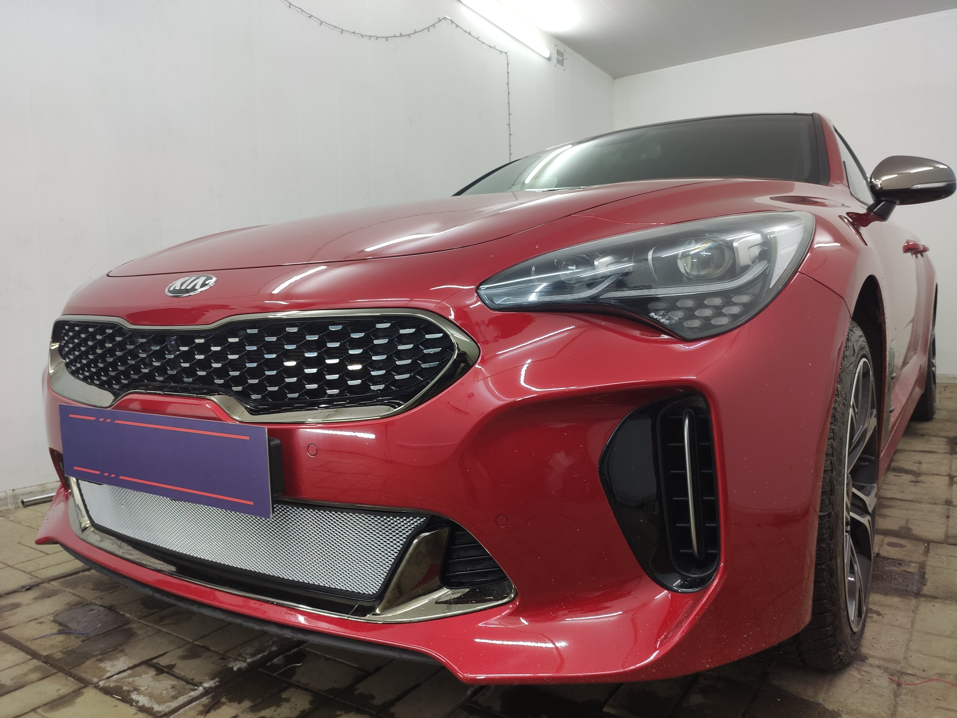 Защитная сетка радиатора низ для Kia Stinger I