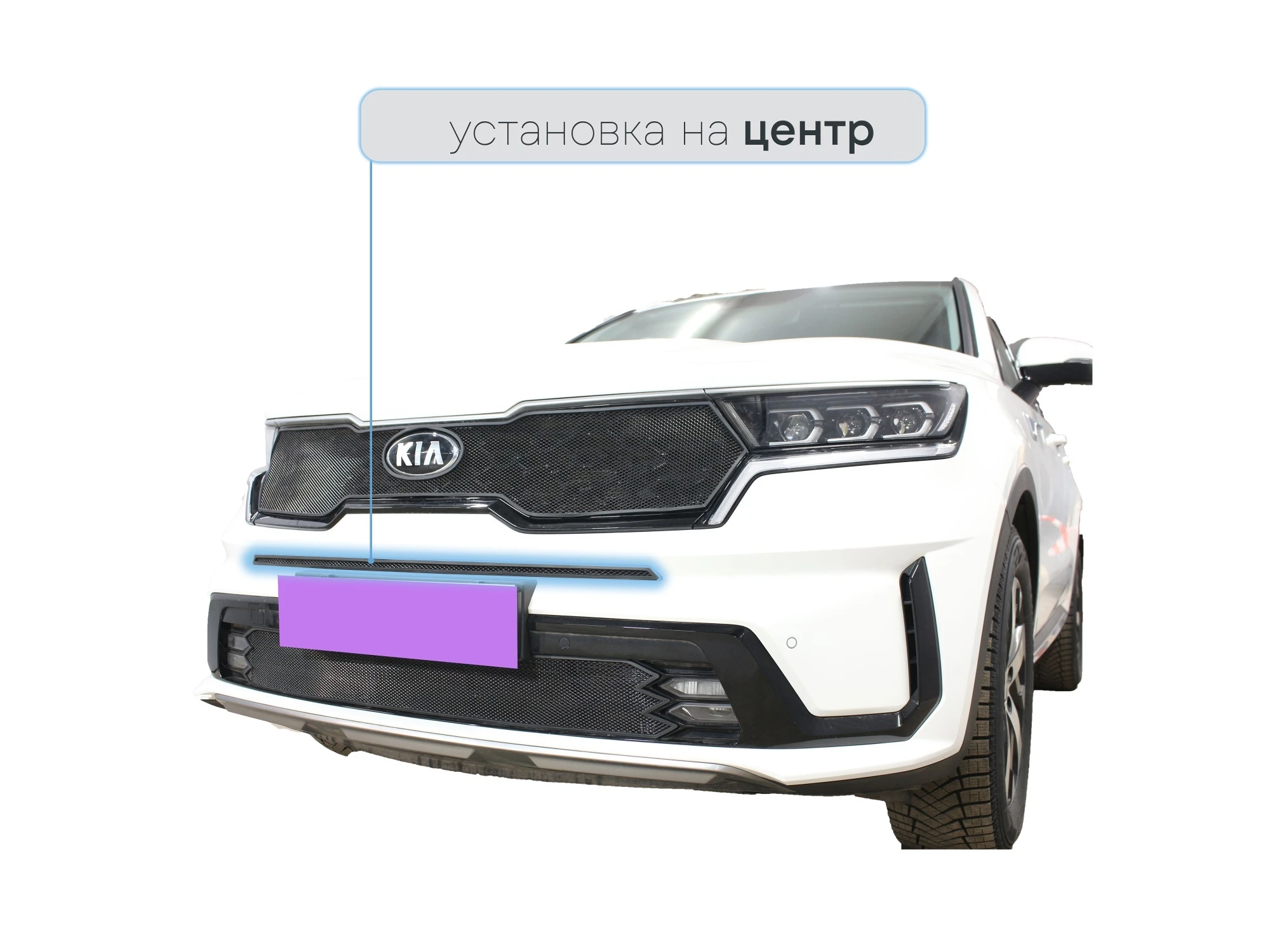 Защитная сетка радиатора центр для Kia Sorento IV Черный