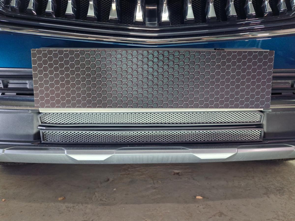 Защитная сетка радиатора низ 2 части для Geely Monjaro