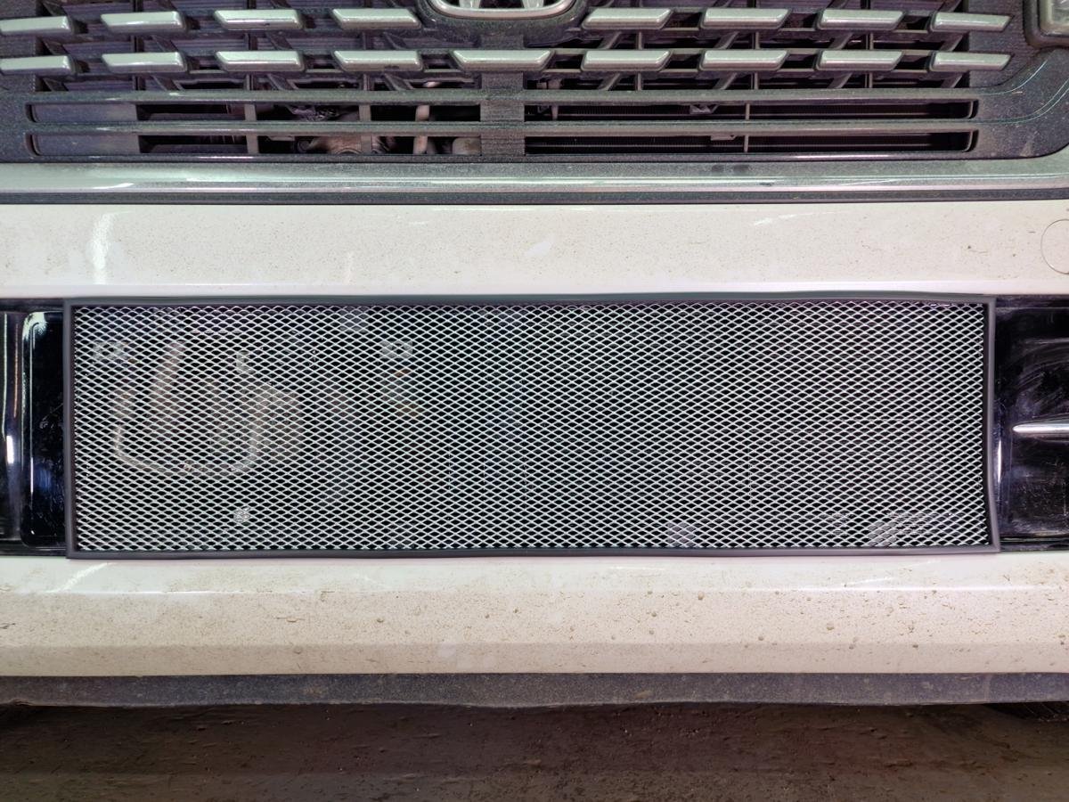 Защитная сетка радиатора низ для Honda N-WGN II Рестайлинг