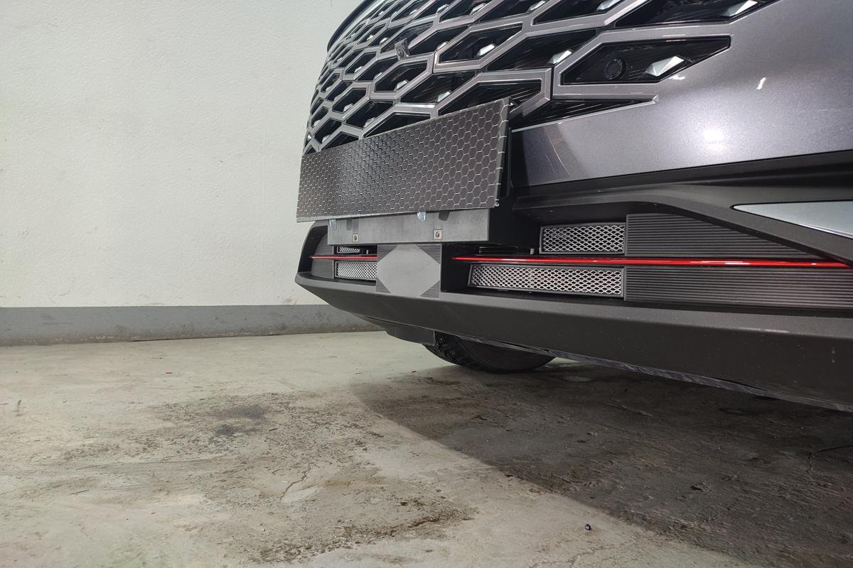 Защитная сетка радиатора комплект для Omoda C5 I