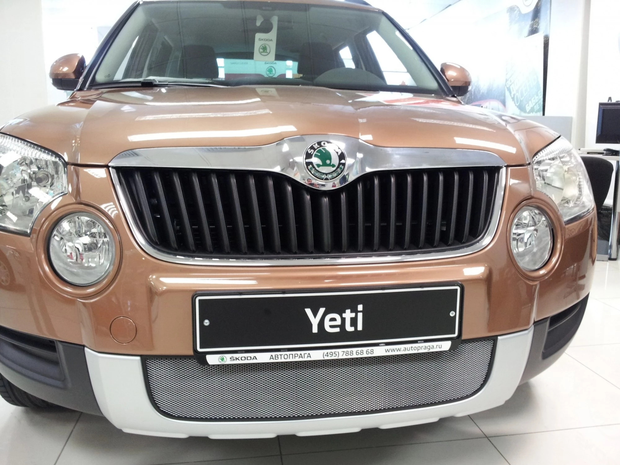 Защитная сетка радиатора для Skoda Yeti I