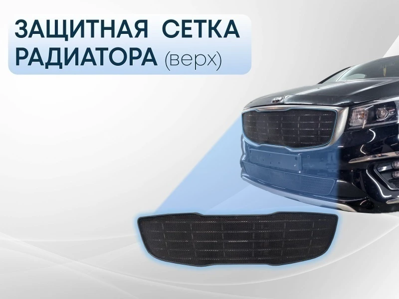 Защитная сетка радиатора верх для Kia Carnival (YP) III Рестайлинг Черный Стрелка 11 KCAR.top.black
