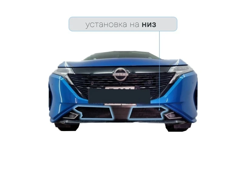 Защитная сетка радиатора низ 2 части для Nissan Note III Черный Стрелка 11 NNOTAU20.bot.black