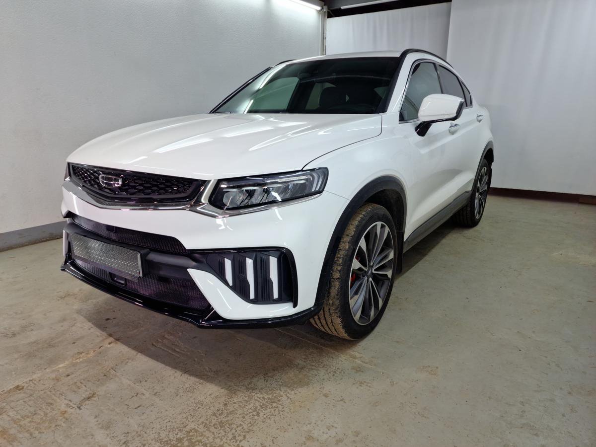 Защитная сетка радиатора низ, с датчиками для Geely Tugella I Рест
