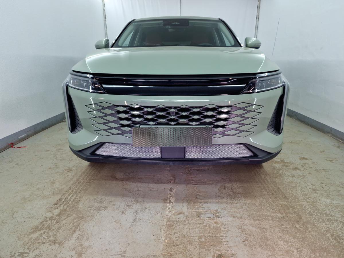 Защитная сетка радиатора низ 2 части для EXEED RX