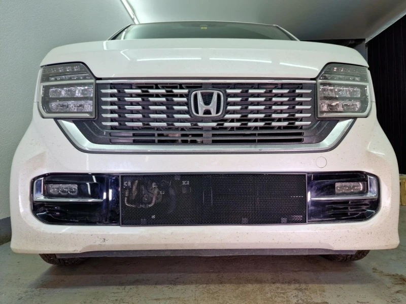 Защитная сетка радиатора низ для Honda N-WGN II Рестайлинг Черный Стрелка 11 HONNW22.black2