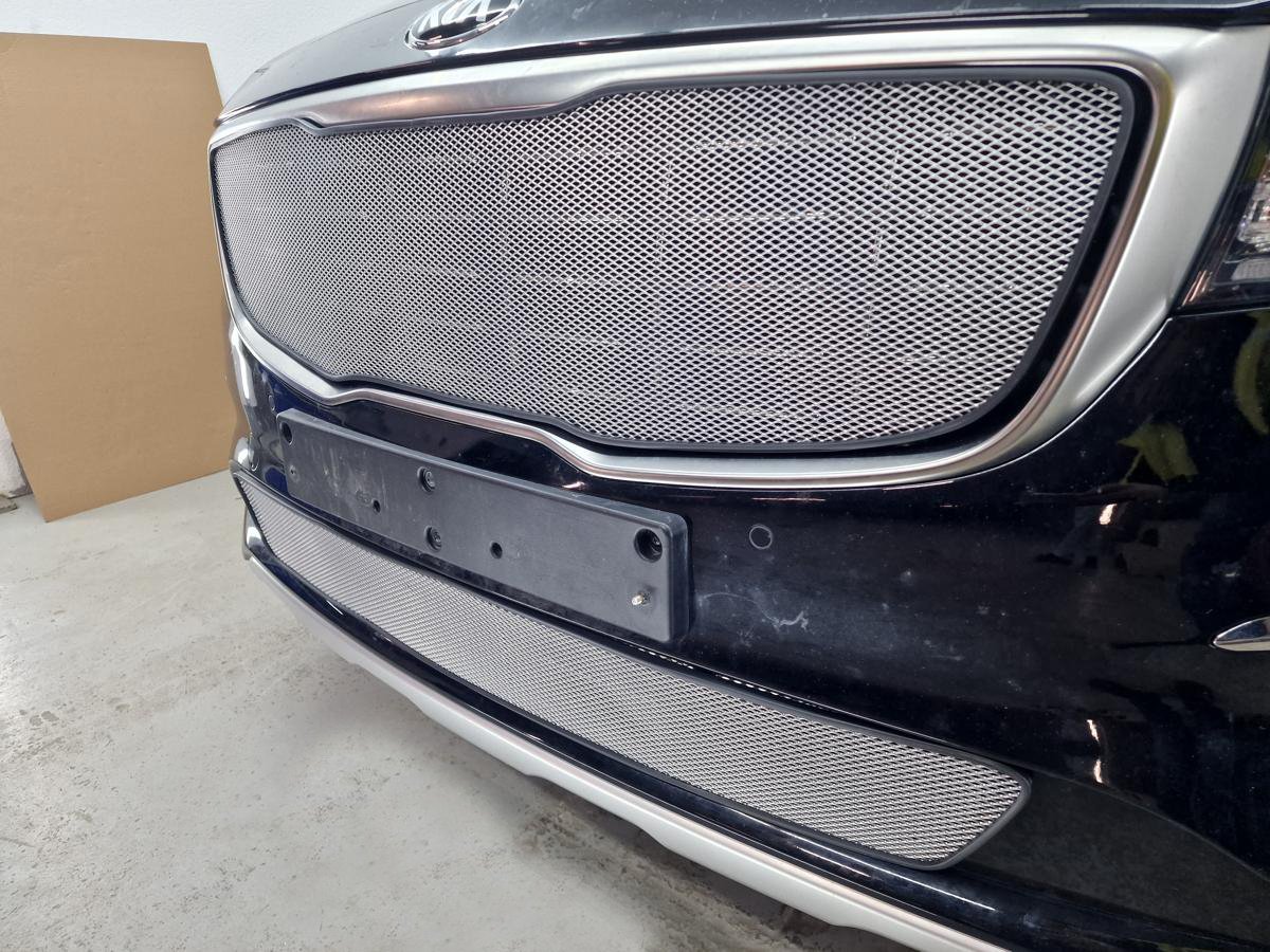 Защитная сетка радиатора низ для Kia Carnival (YP) III Рестайлинг