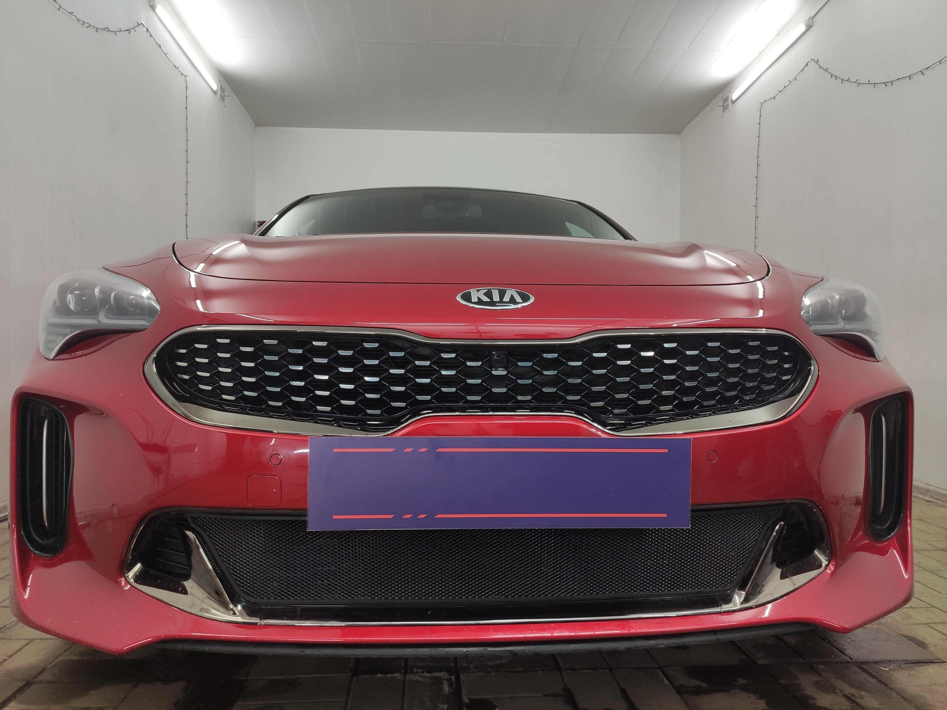 Защитная сетка радиатора низ для Kia Stinger I