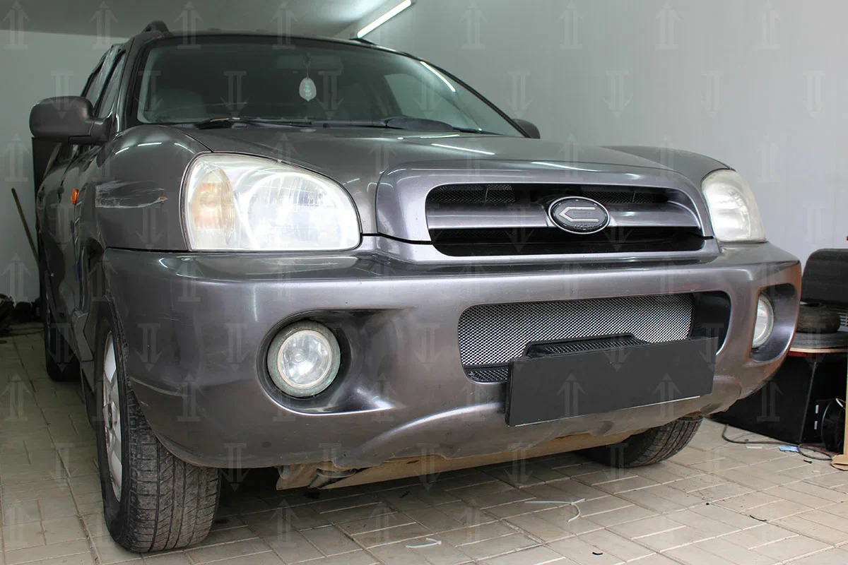 Защитная сетка радиатора низ для Hyundai Santa Fe I