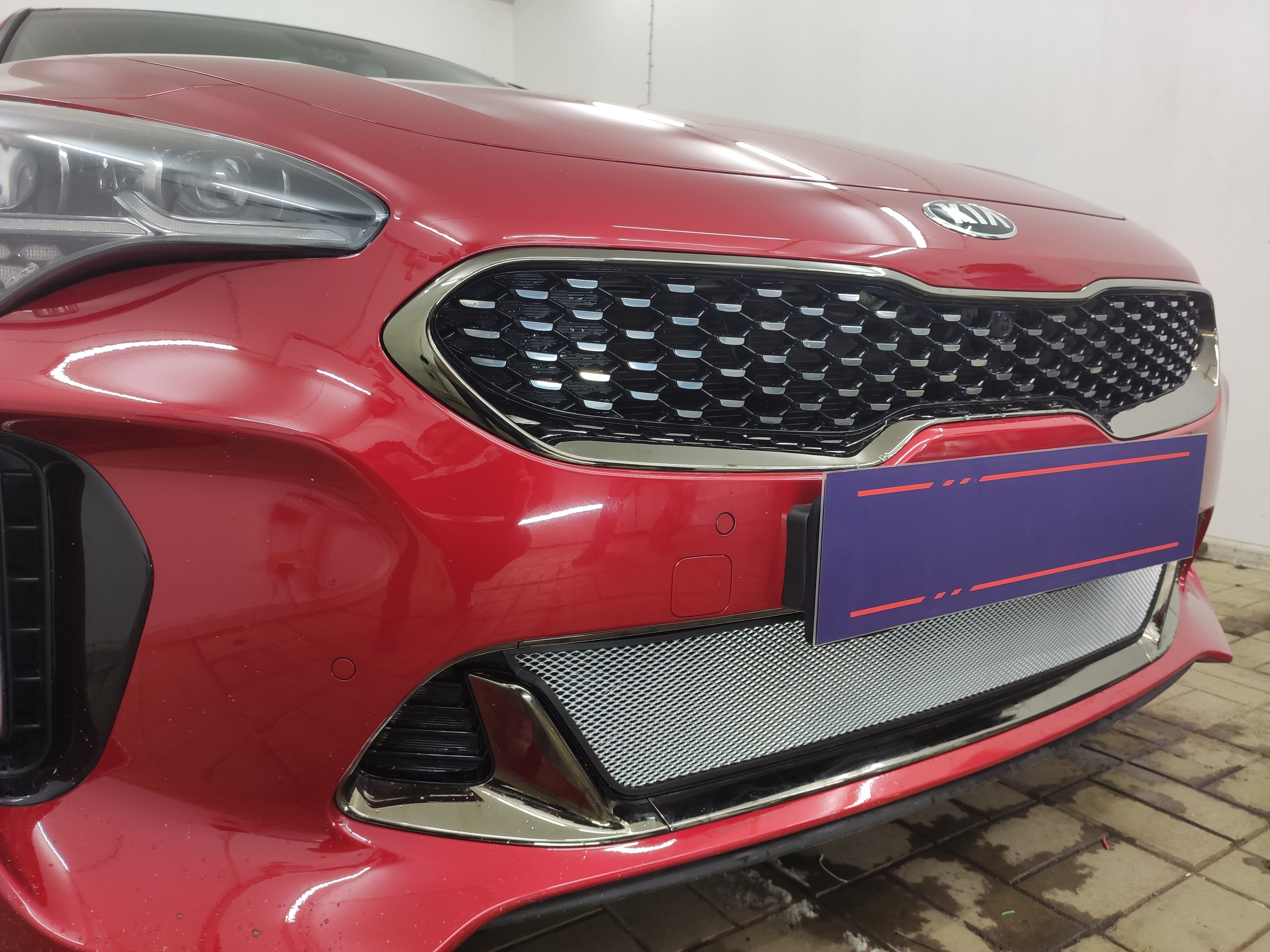 Защитная сетка радиатора низ для Kia Stinger I