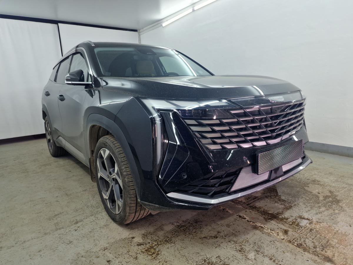 Защитная сетка радиатора низ 2 части для Geely Atlas II