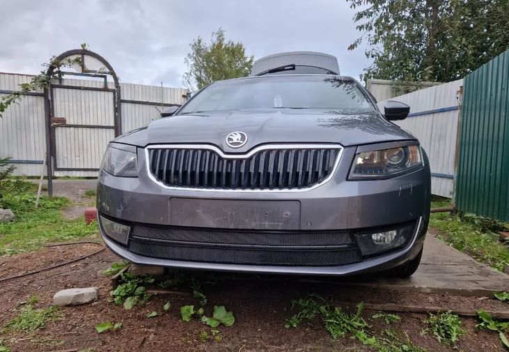 Защитная сетка радиатора для Skoda Octavia III (A7)
